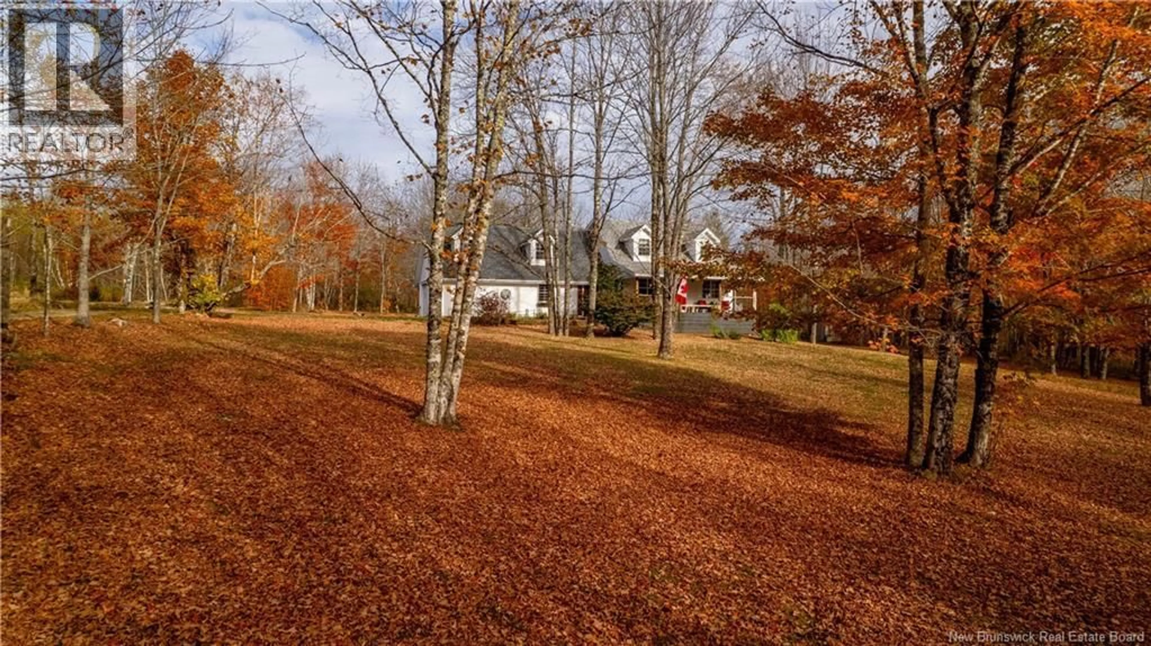 A pic from outside/outdoor area/front of a property/back of a property/a pic from drone, forest/trees view for 7777 ROUTE 3, Dewolfe New Brunswick E5A1K7