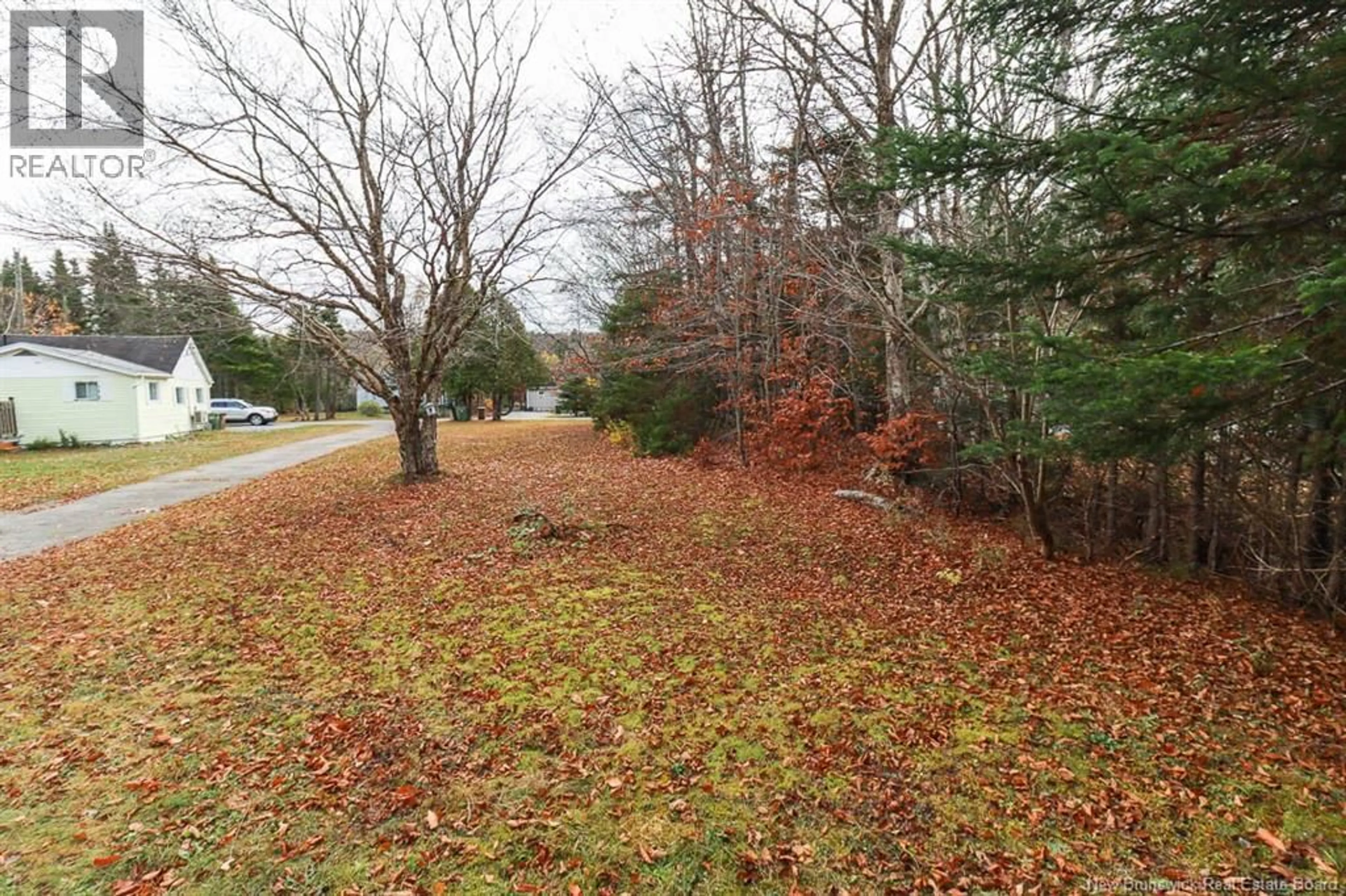 A pic from outside/outdoor area/front of a property/back of a property/a pic from drone, forest/trees view for 152 OWENS ROAD, Saint John New Brunswick E2N1K7