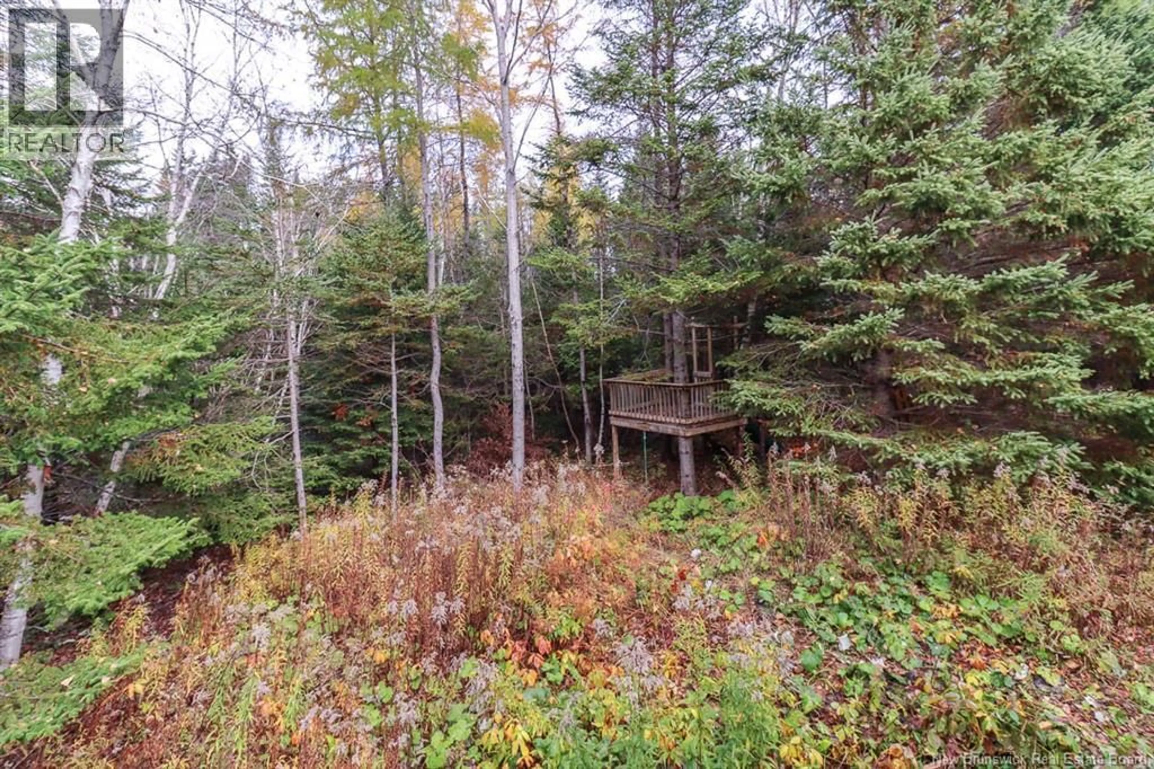 Shed for 152 OWENS ROAD, Saint John New Brunswick E2N1K7