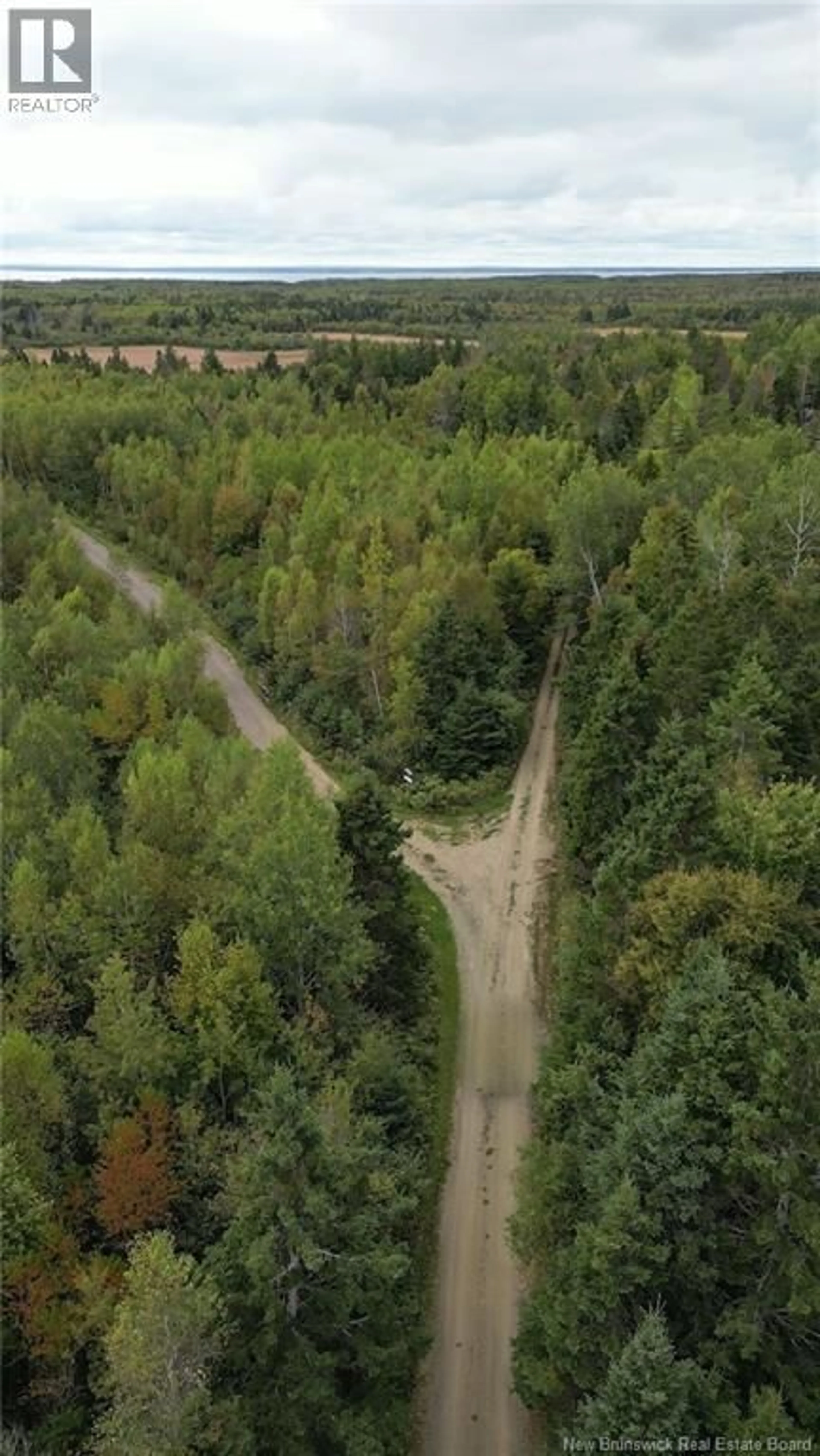 A pic from outside/outdoor area/front of a property/back of a property/a pic from drone, forest/trees view for 100 HUNTER LANE, Malden New Brunswick E4M1W9