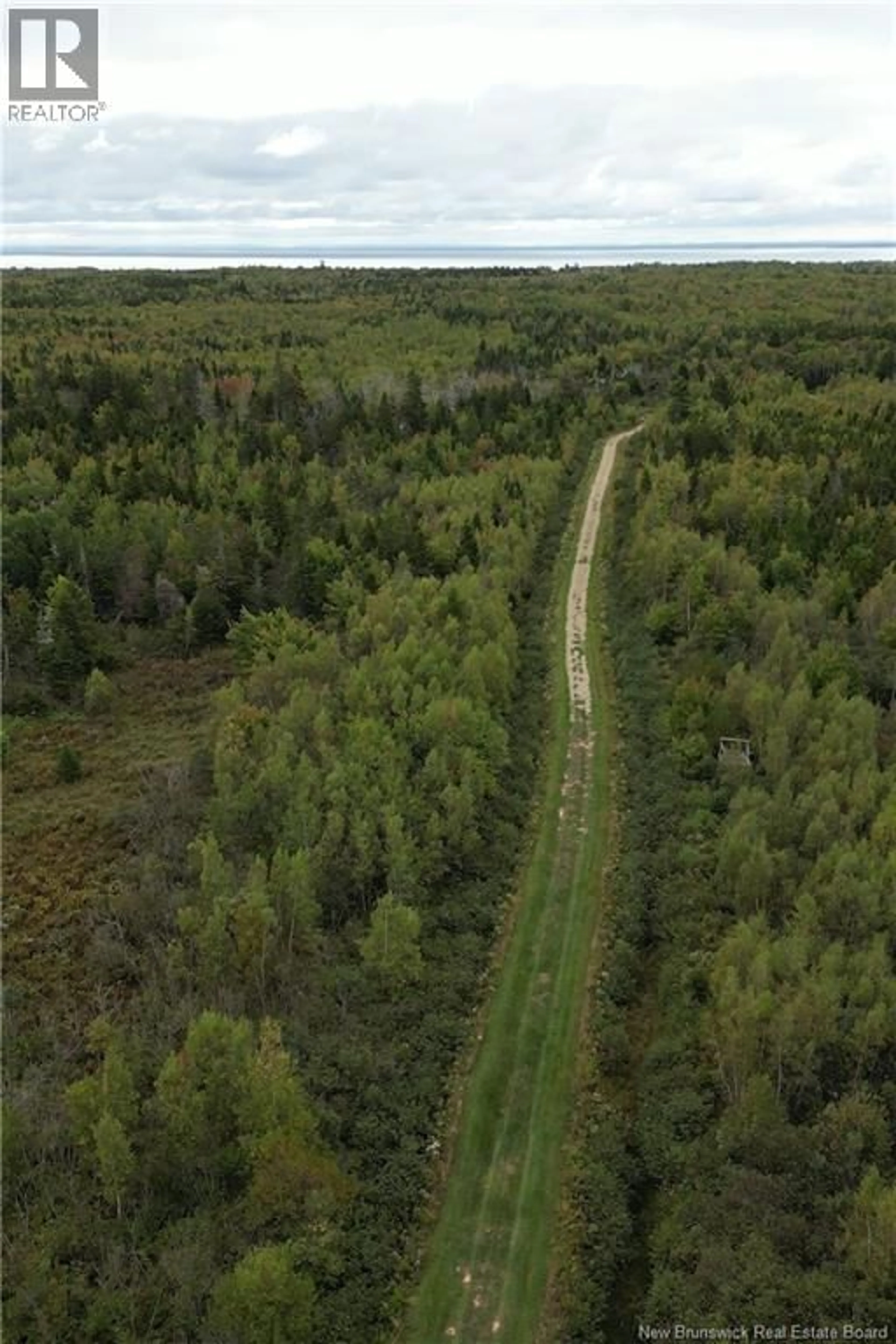 A pic from outside/outdoor area/front of a property/back of a property/a pic from drone, forest/trees view for 100 HUNTER LANE, Malden New Brunswick E4M1W9