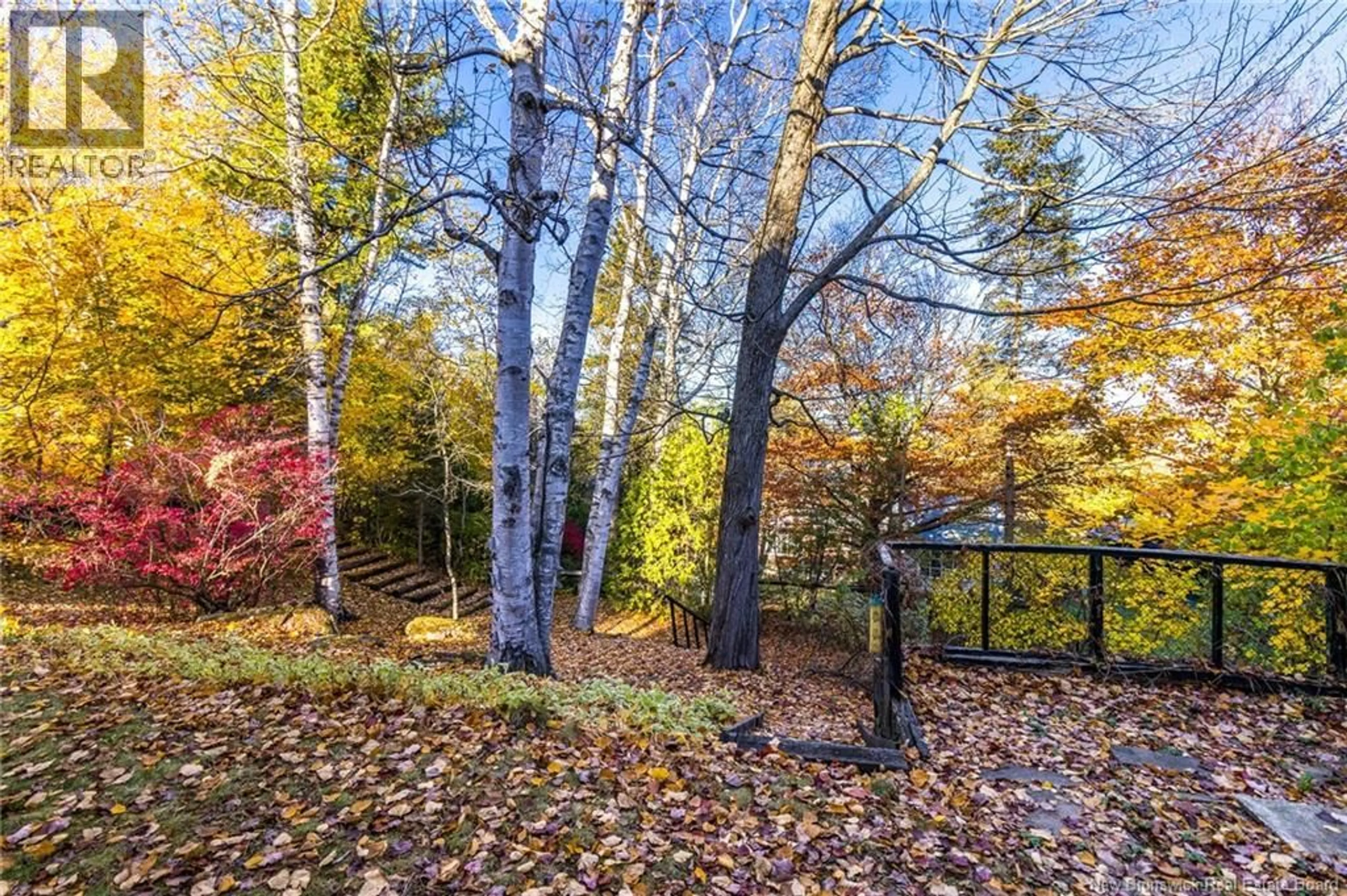 Unknown for 295 MONTGOMERY, Fredericton New Brunswick E3B2X2