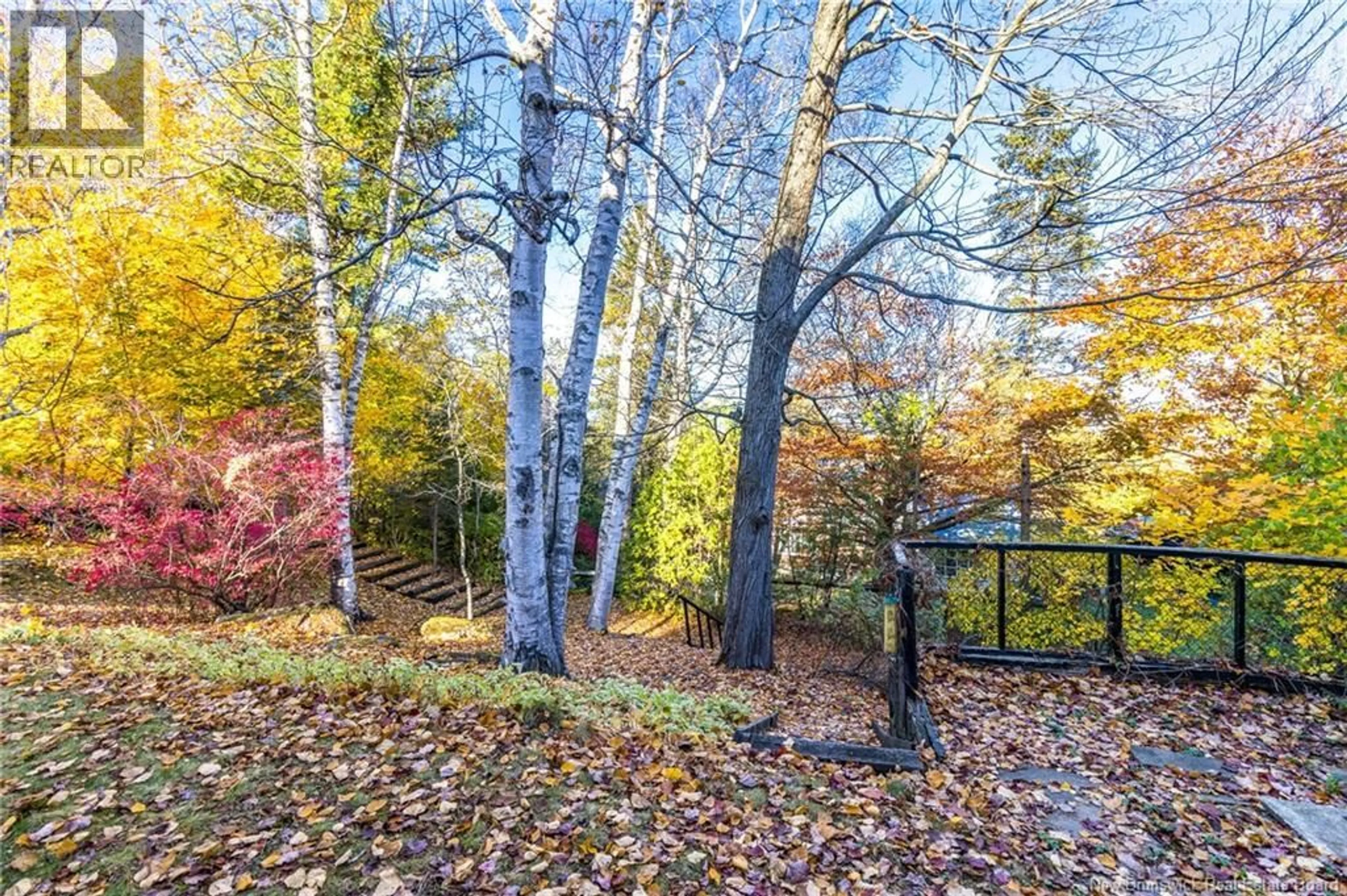 Patio, forest/trees view for 295 MONTGOMERY, Fredericton New Brunswick E3B2X2