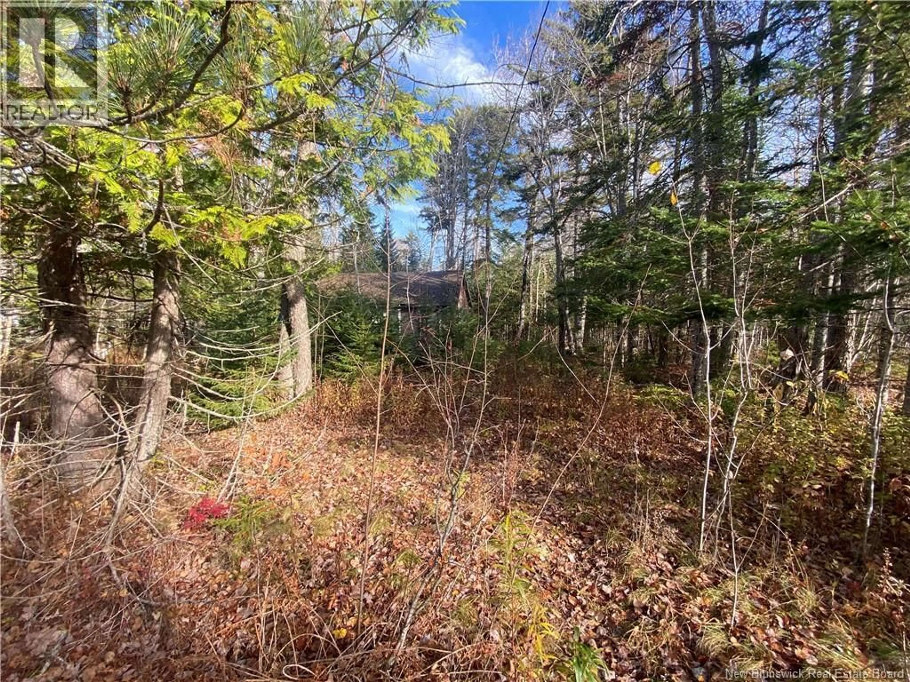 A pic from outside/outdoor area/front of a property/back of a property/a pic from drone, forest/trees view for 7 ANNIE LANE, Dumfries New Brunswick E6G1S5