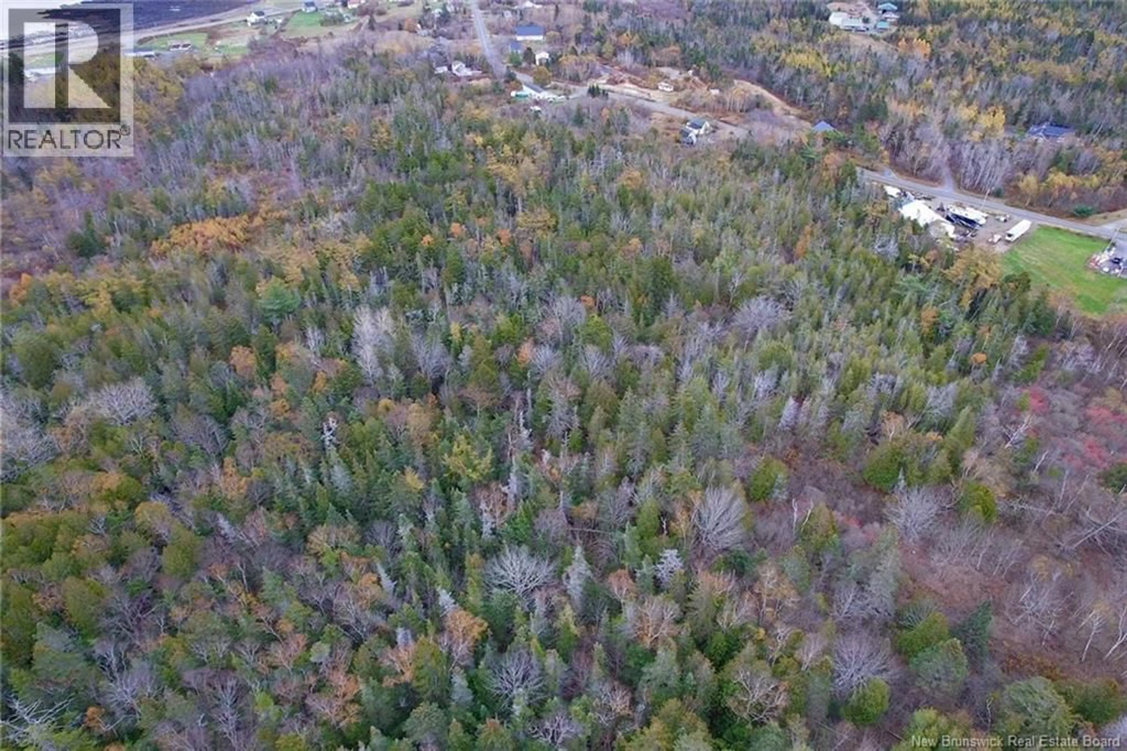 A pic from outside/outdoor area/front of a property/back of a property/a pic from drone, forest/trees view for 90 CEDAR STREET, Grand Manan New Brunswick E5G2C2