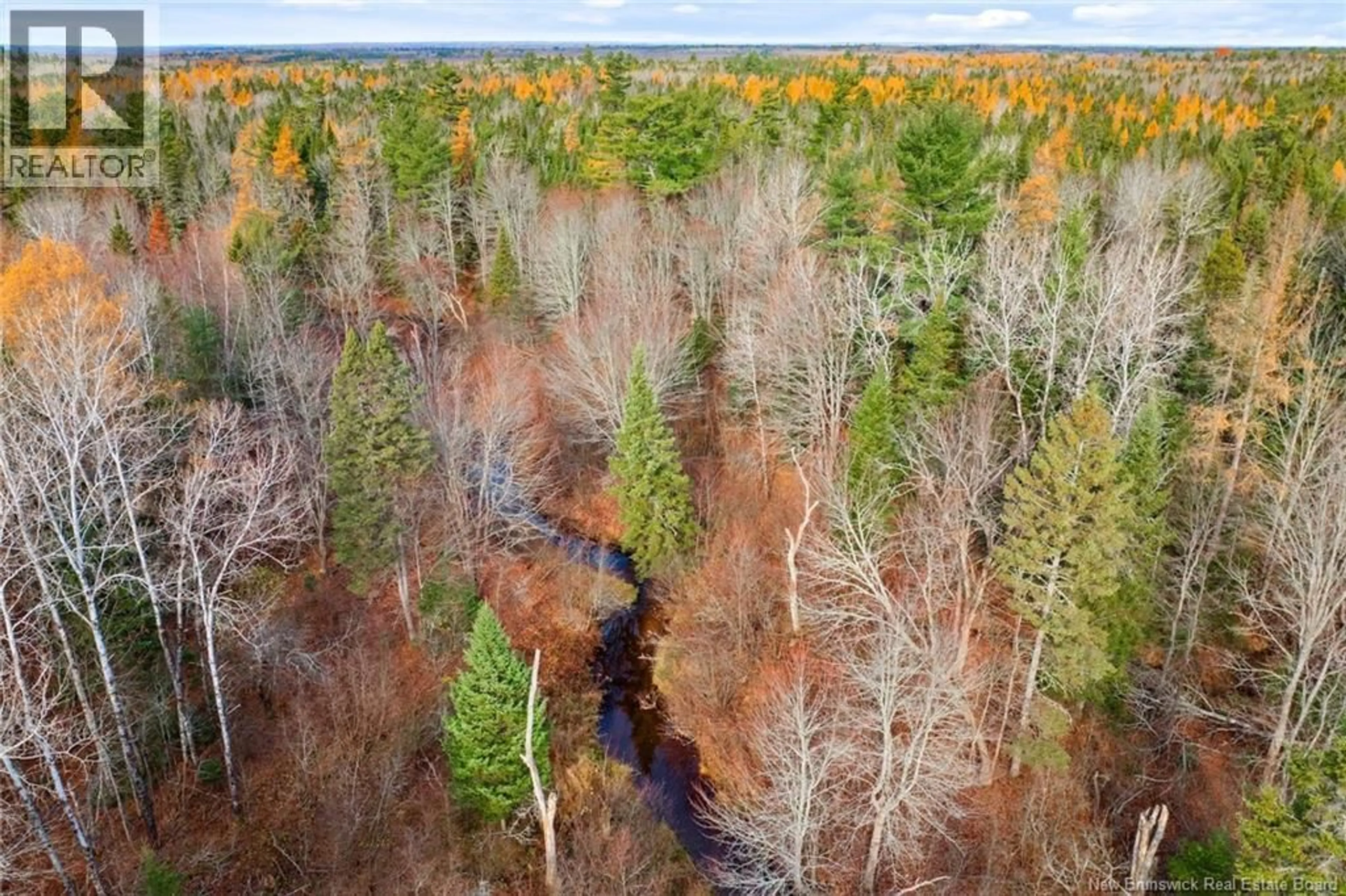 A pic from outside/outdoor area/front of a property/back of a property/a pic from drone, forest/trees view for 54 LANDING ROAD, Geary New Brunswick E2V3Z1