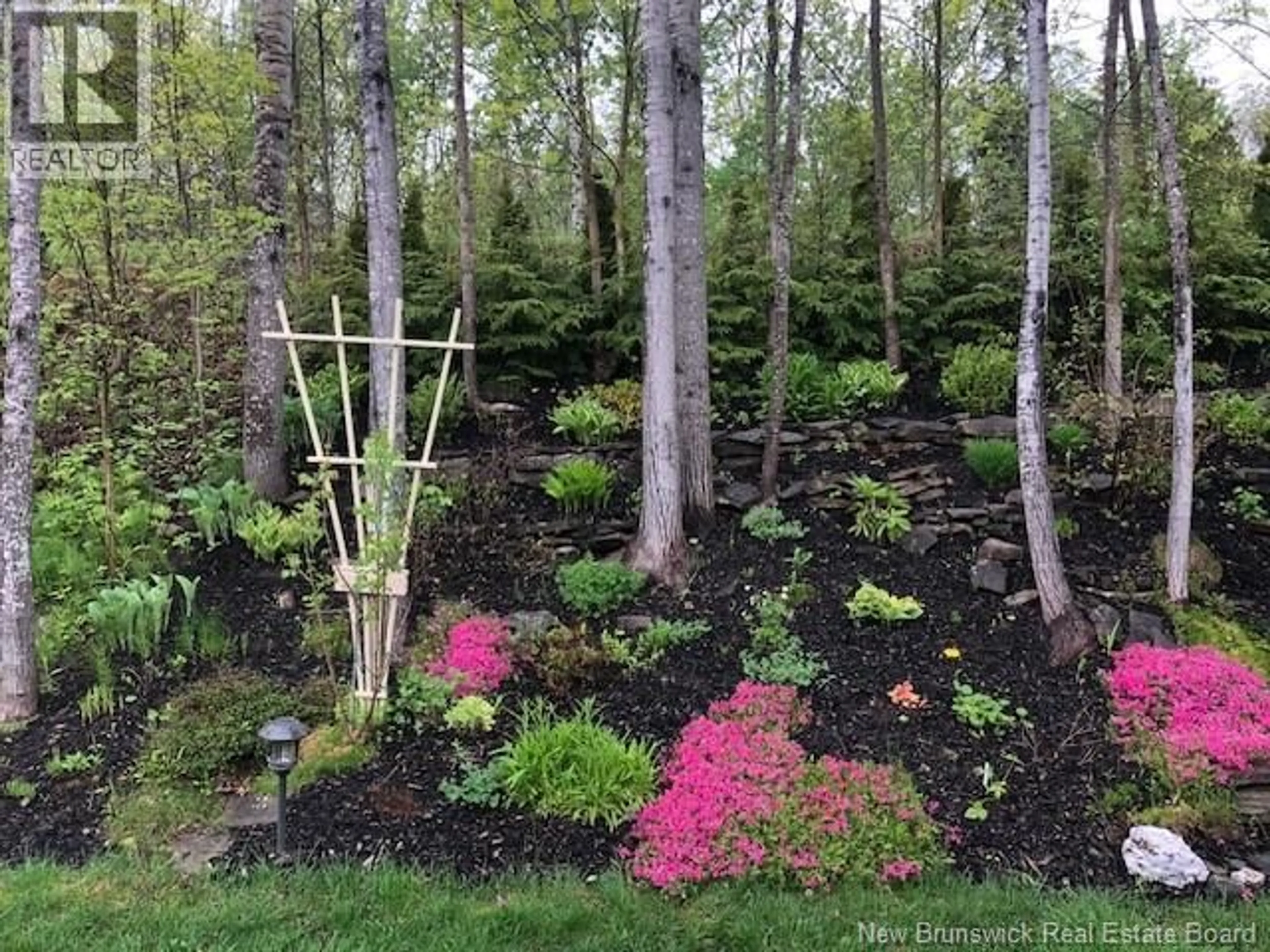 A pic from outside/outdoor area/front of a property/back of a property/a pic from drone, forest/trees view for 70 ARBOUR BROOK LANE, Fredericton New Brunswick E3B0C4