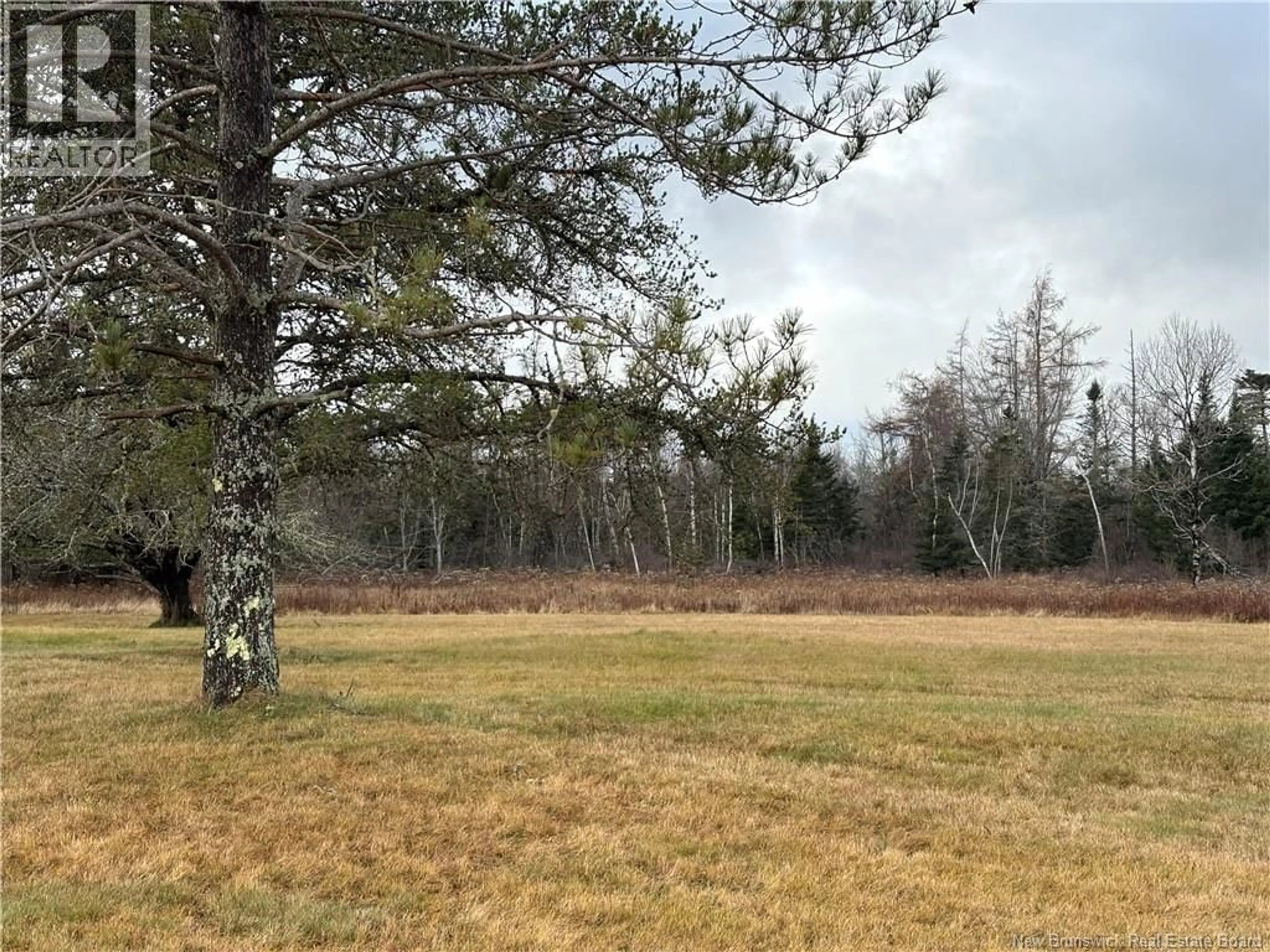 Unknown for 177 MANOR RD, St George New Brunswick E5C1M1