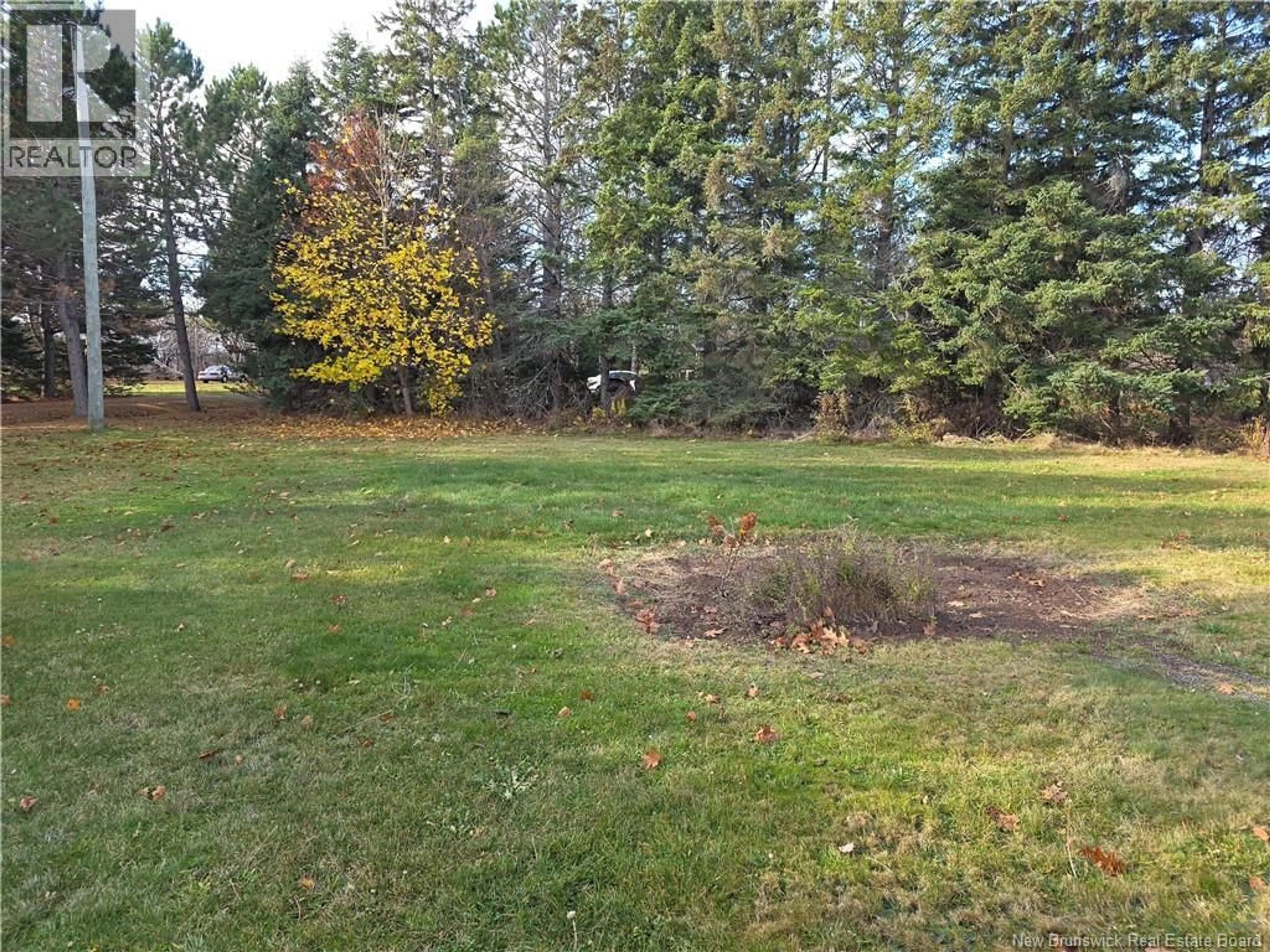 A pic from outside/outdoor area/front of a property/back of a property/a pic from drone, forest/trees view for 4736 RTE 134, Cocagne New Brunswick E4R2Z7