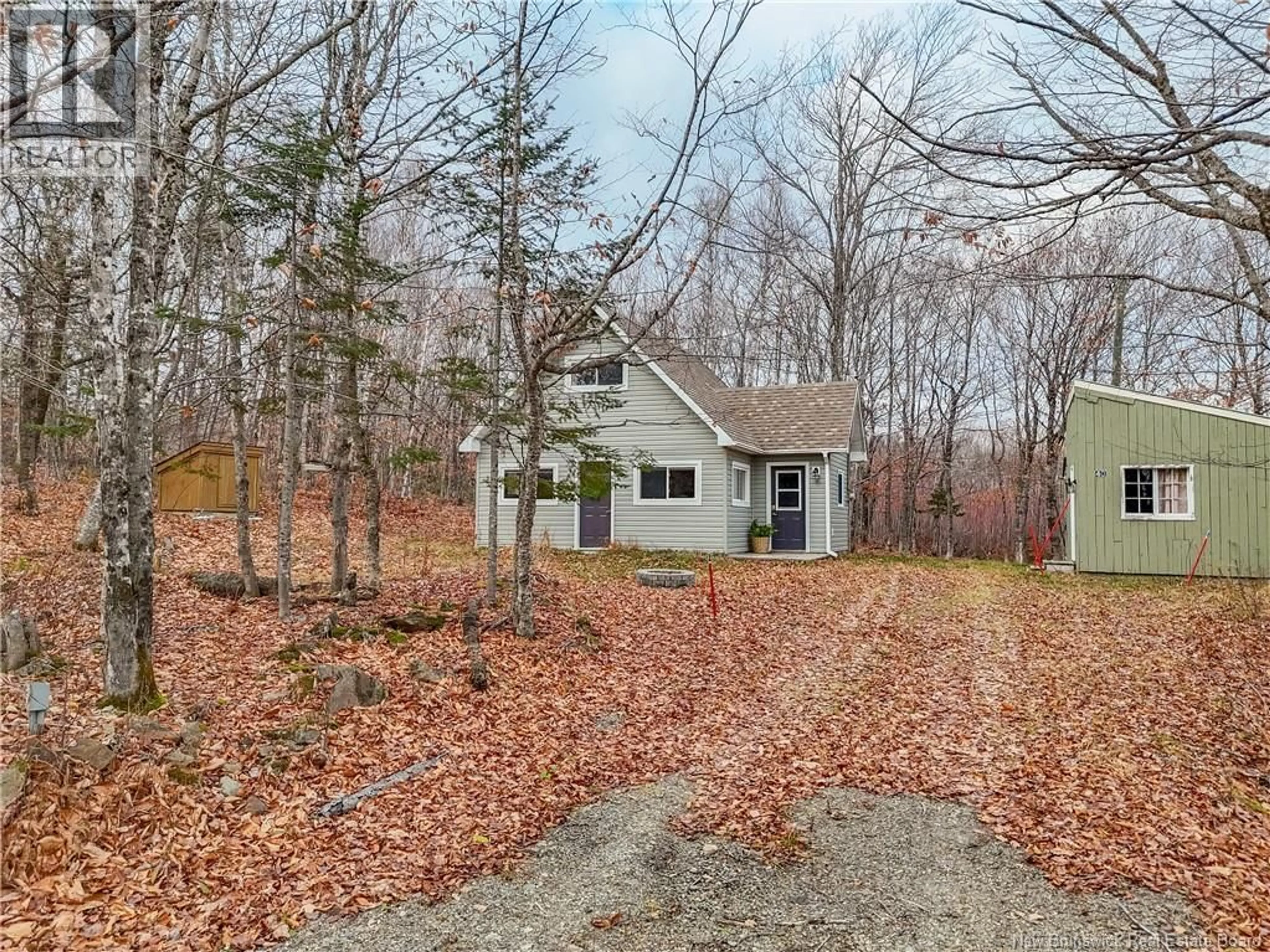 A pic from outside/outdoor area/front of a property/back of a property/a pic from drone, forest/trees view for 40 SKIERS LANE, Central Hainesville New Brunswick E6E2K2