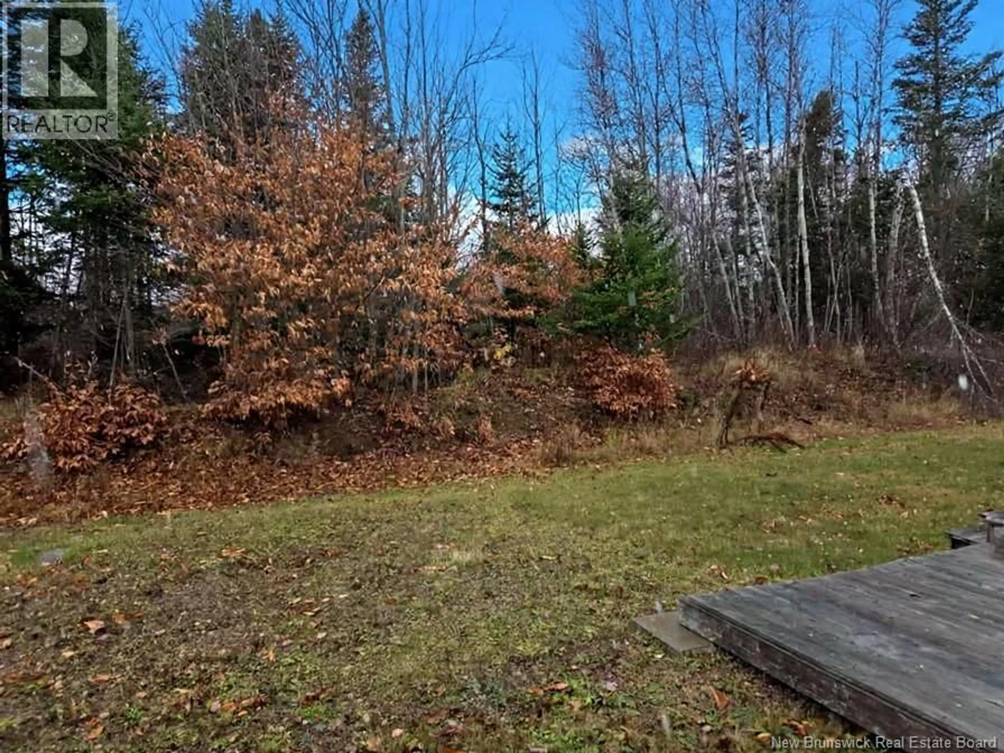 A pic from outside/outdoor area/front of a property/back of a property/a pic from drone, forest/trees view for 201 BONAVENTURE, Shediac New Brunswick E4P0G9