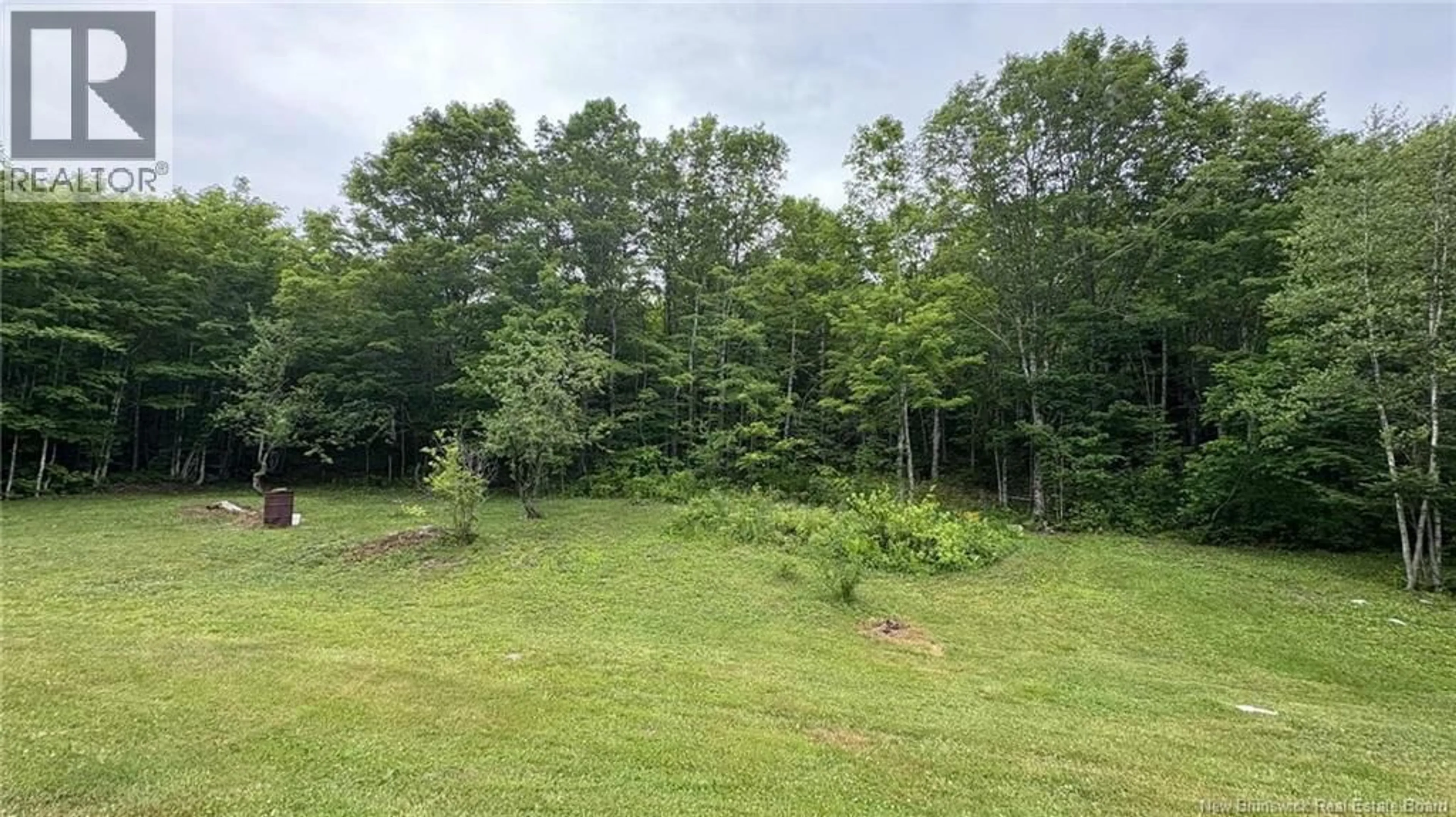 A pic from outside/outdoor area/front of a property/back of a property/a pic from drone, forest/trees view for 0 CARTY ROAD, Elgin New Brunswick E4Z2H1