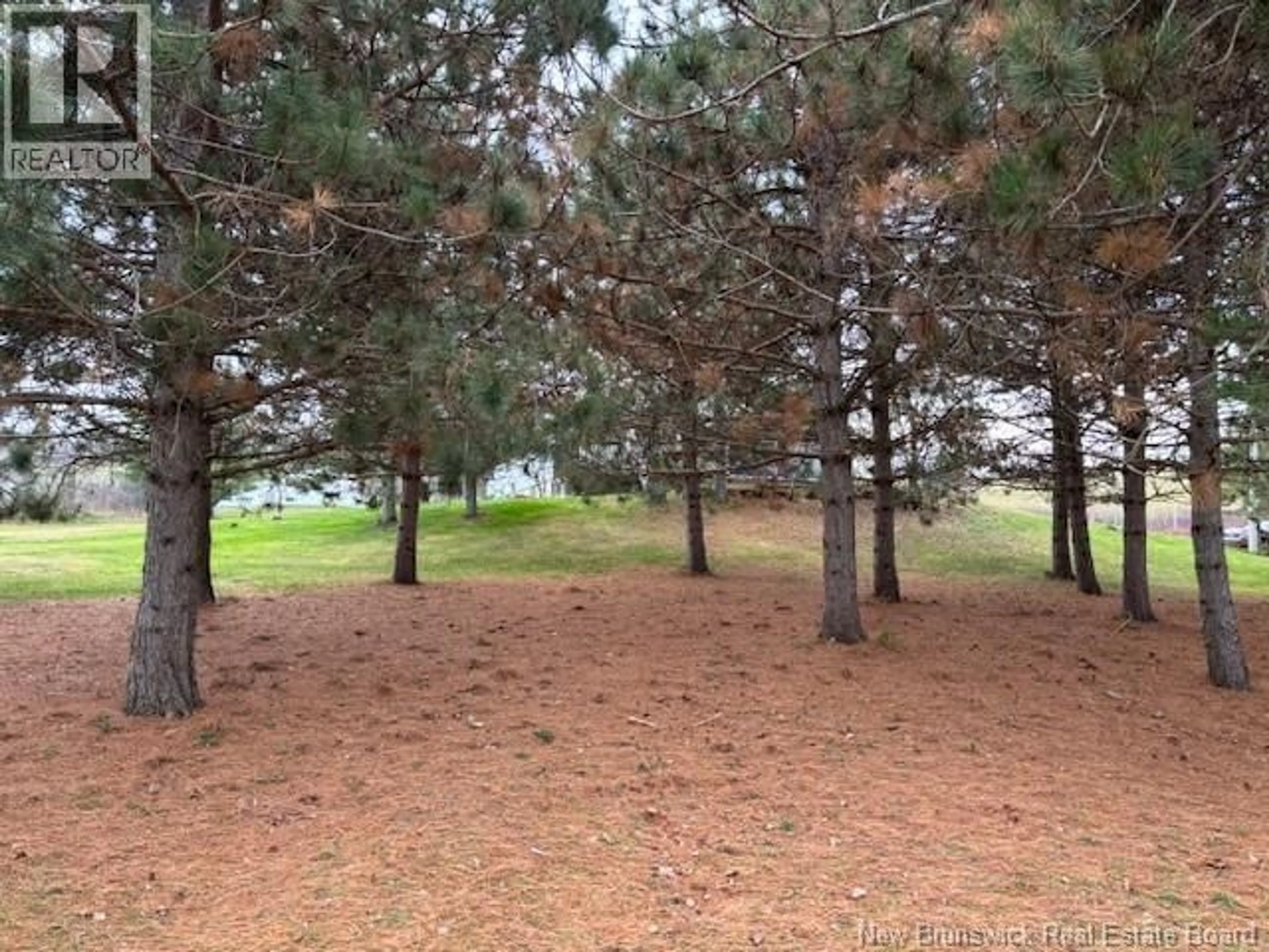 A pic from outside/outdoor area/front of a property/back of a property/a pic from drone, forest/trees view for 10 ADAIR ROAD, Waterford New Brunswick E4E4V9