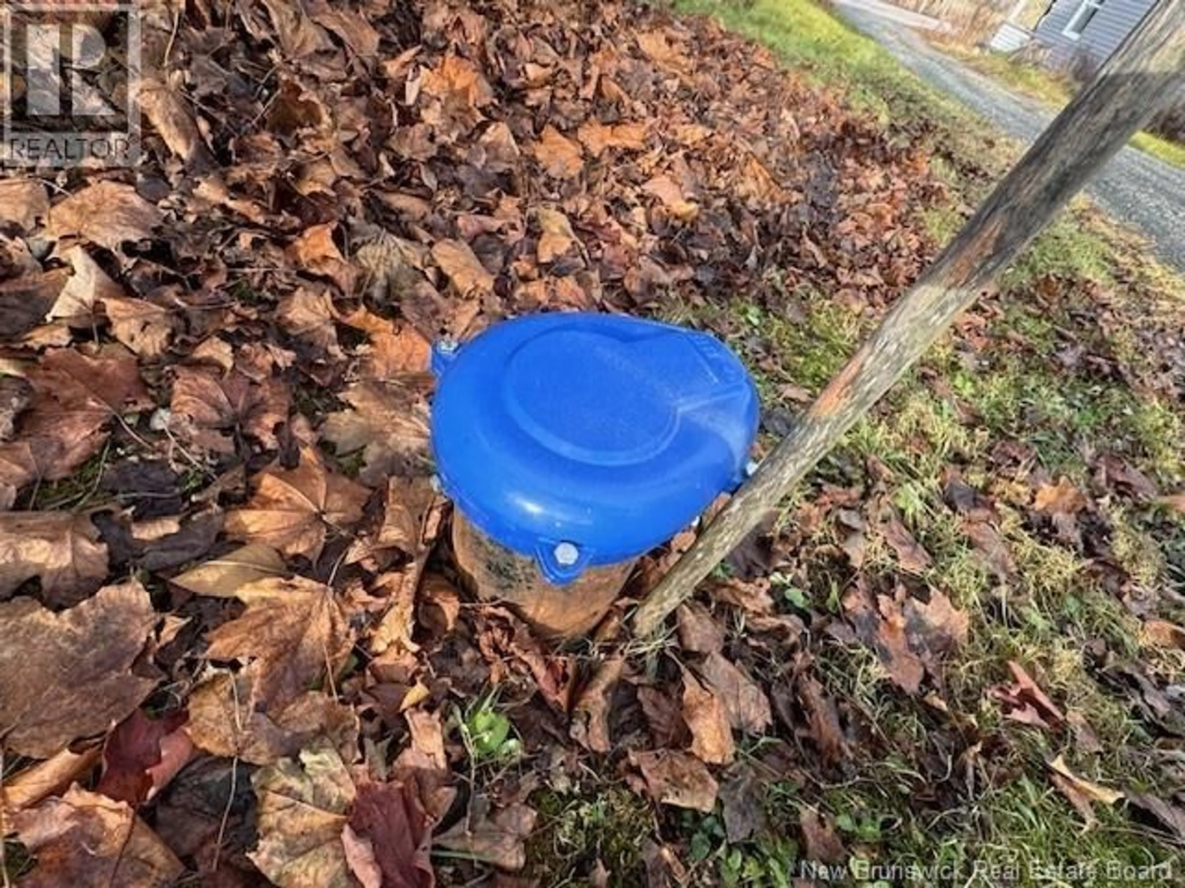 A pic from outside/outdoor area/front of a property/back of a property/a pic from drone, street for 4582 ROUTE 880, Havelock New Brunswick E4Z5K8