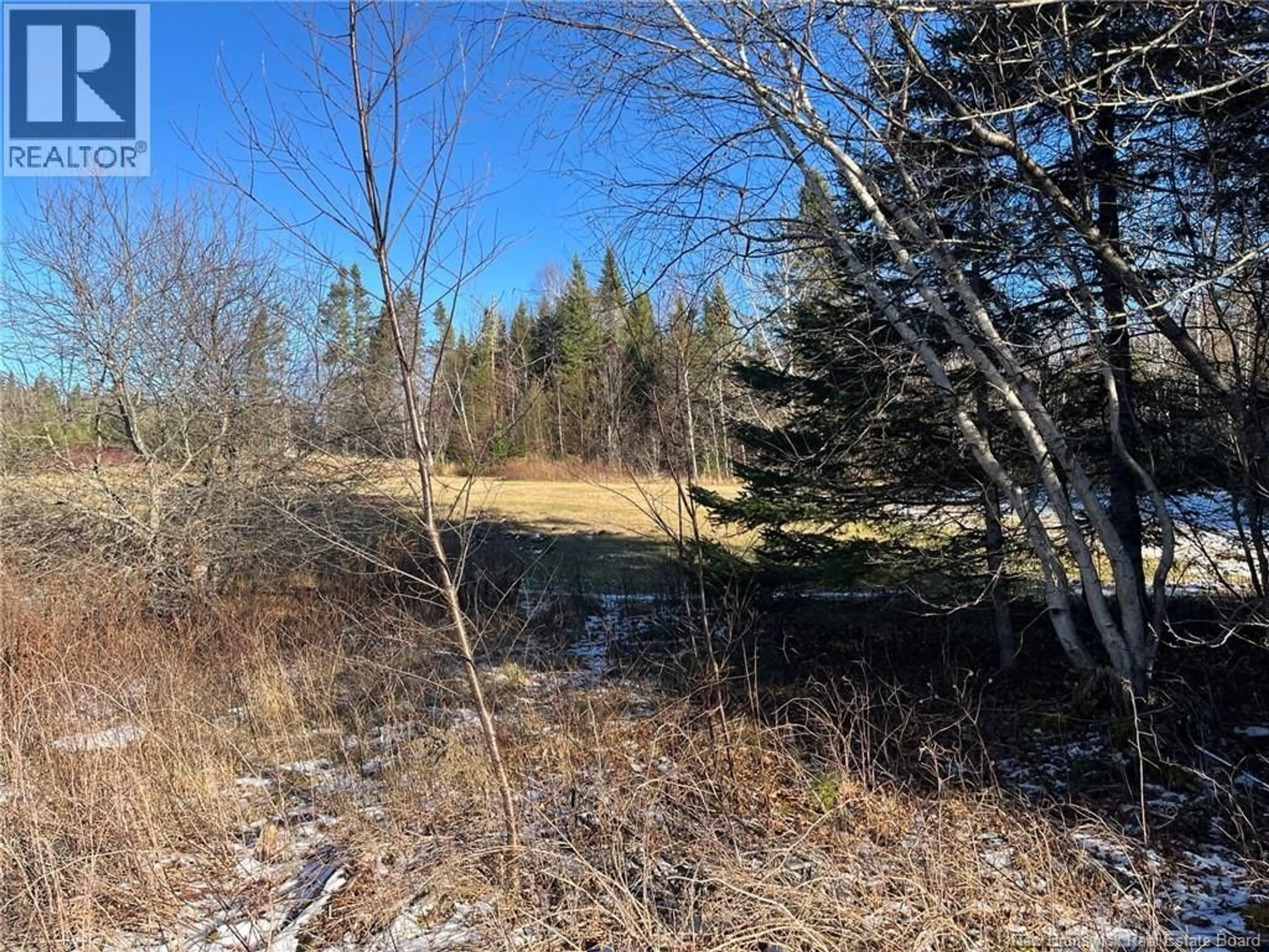 A pic from outside/outdoor area/front of a property/back of a property/a pic from drone, forest/trees view for 3158 ROUTE 148, Nashwaak Bridge New Brunswick E6C1T3