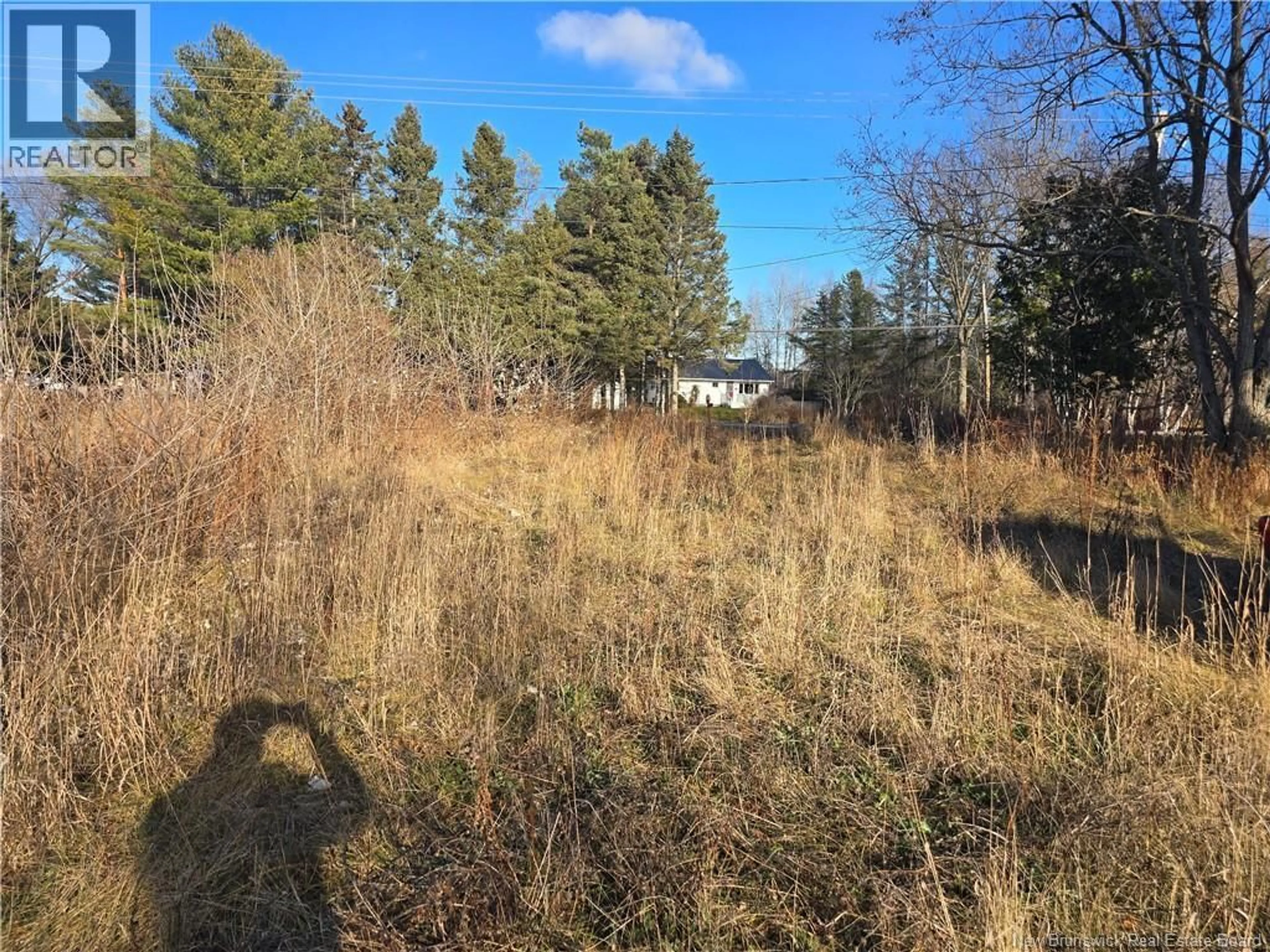 A pic from outside/outdoor area/front of a property/back of a property/a pic from drone, forest/trees view for 540 ROUTE 105, Maugerville New Brunswick E3A8L6