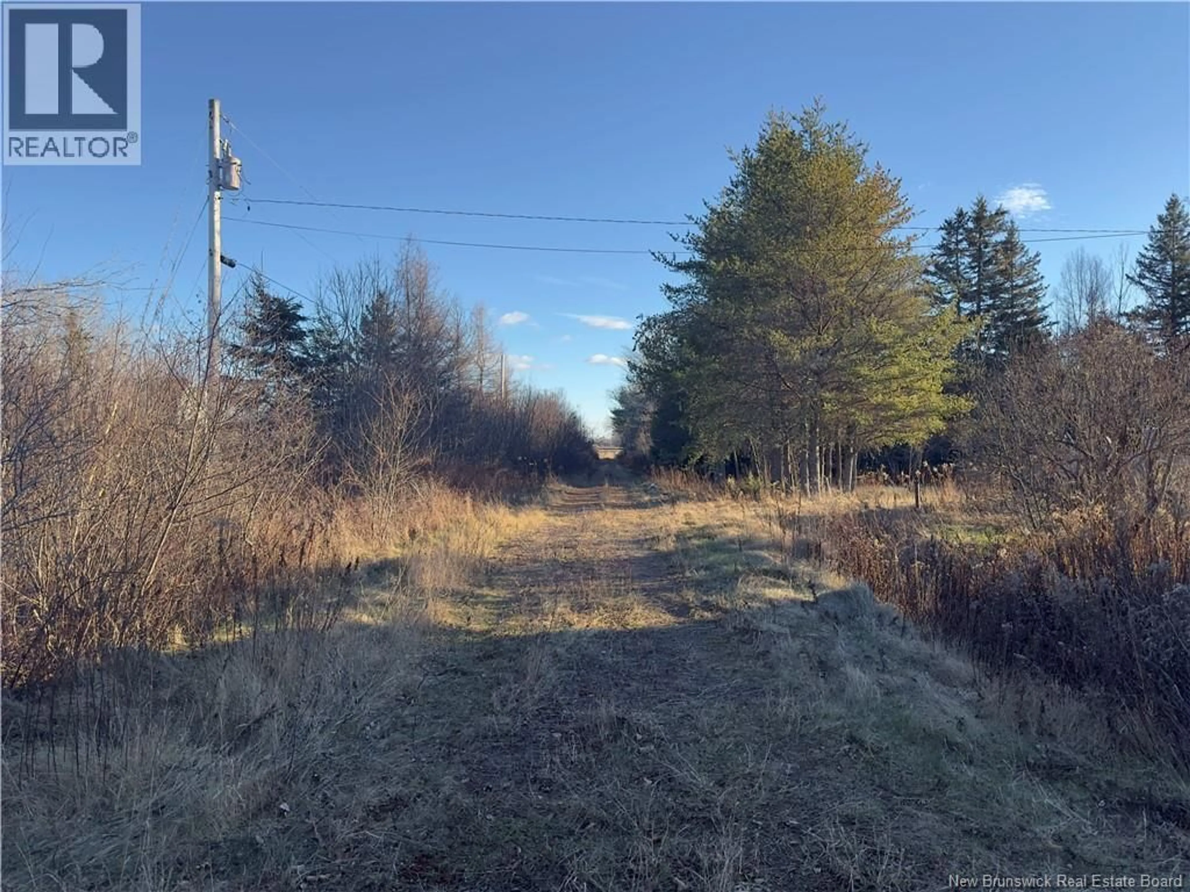 A pic from outside/outdoor area/front of a property/back of a property/a pic from drone, forest/trees view for 207 HARCOURT ROAD, Harcourt New Brunswick E4T2Y3