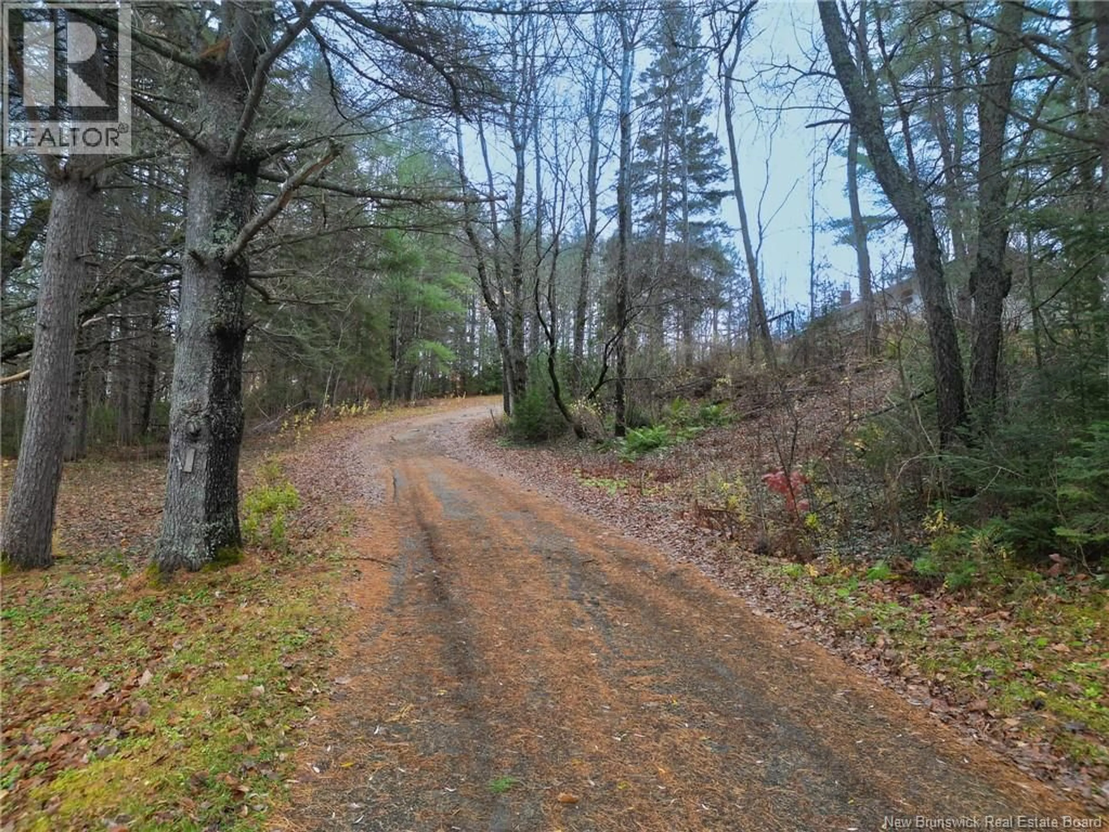 Blurry image for 11 BIRCH STREET, Florenceville-Bristol New Brunswick E7L2E7