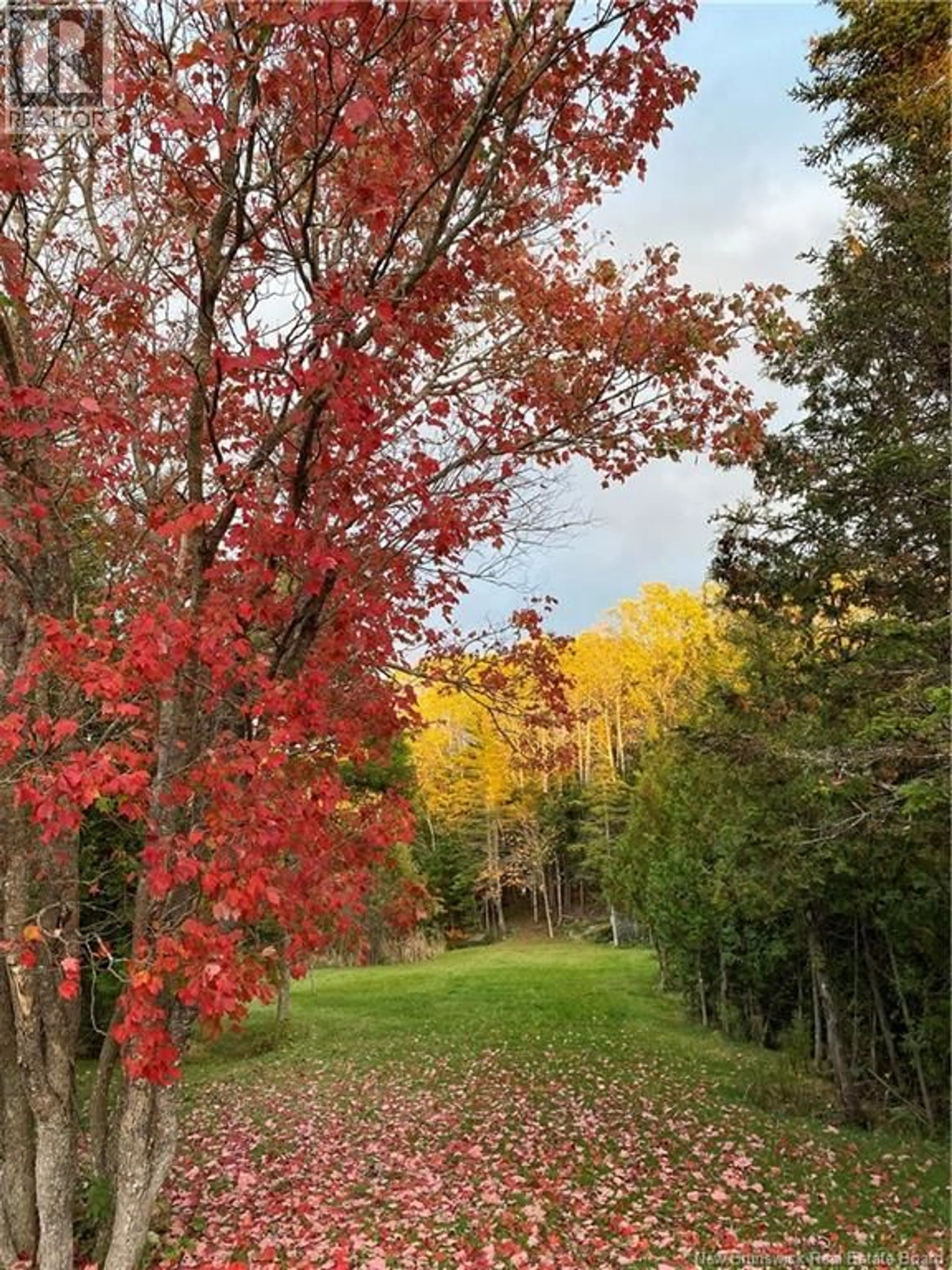 Unknown for 38 CHURCHLAND ROAD, Saint John New Brunswick E2N1T8