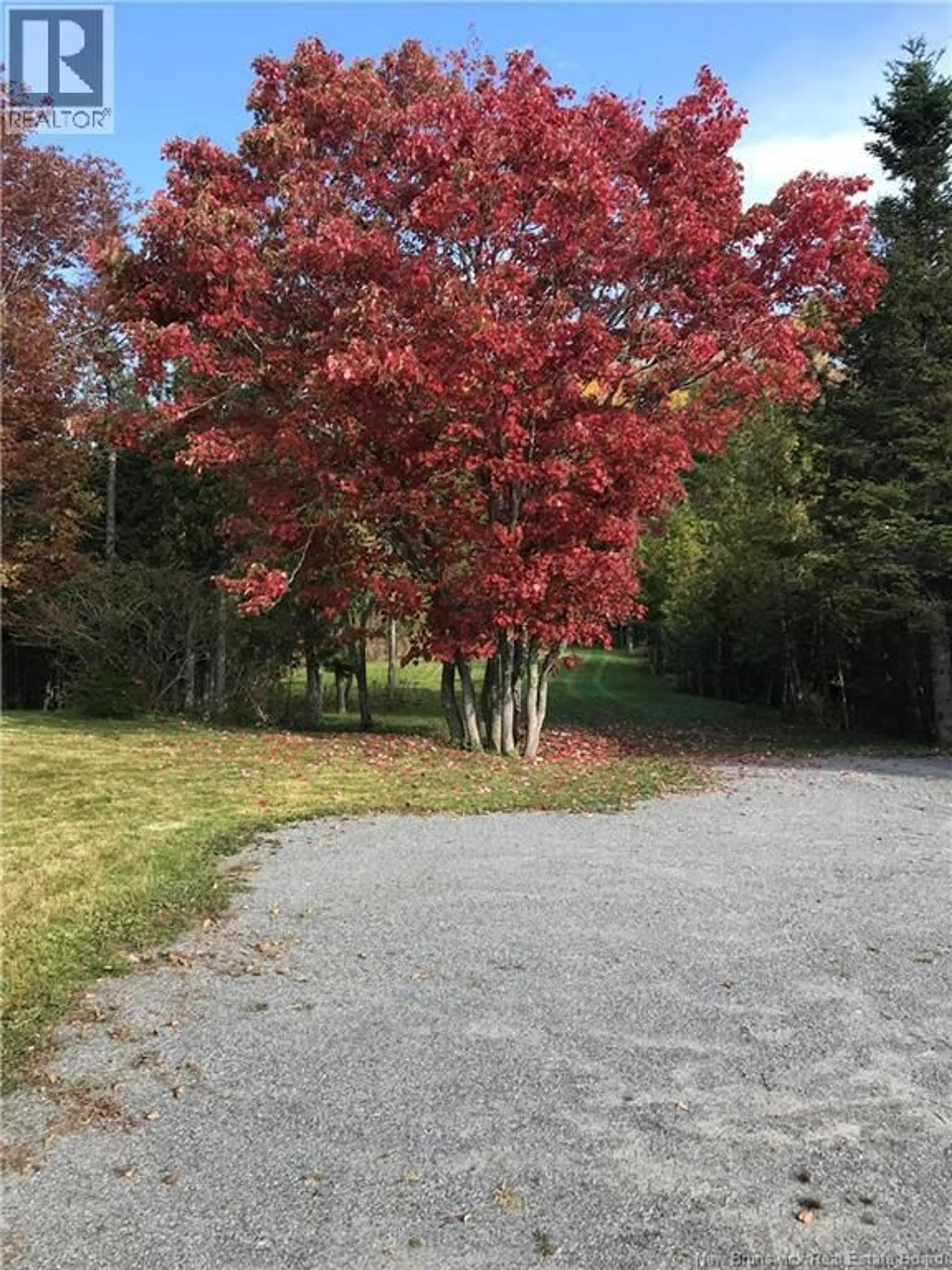 A pic from outside/outdoor area/front of a property/back of a property/a pic from drone, forest/trees view for 38 CHURCHLAND ROAD, Saint John New Brunswick E2N1T8