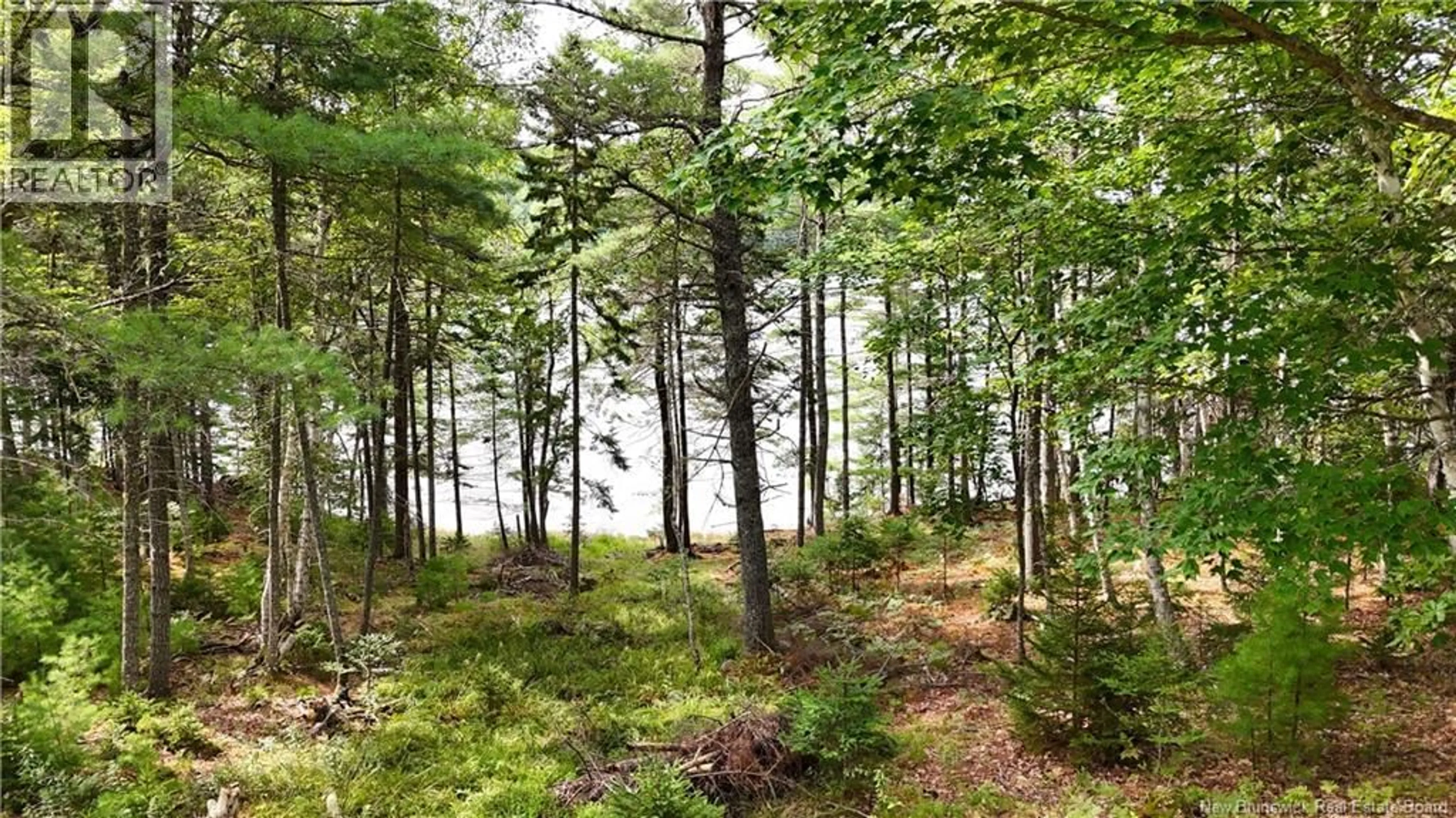 Unknown for 135 PINE POINT ROAD, Dufferin New Brunswick E3L0G7