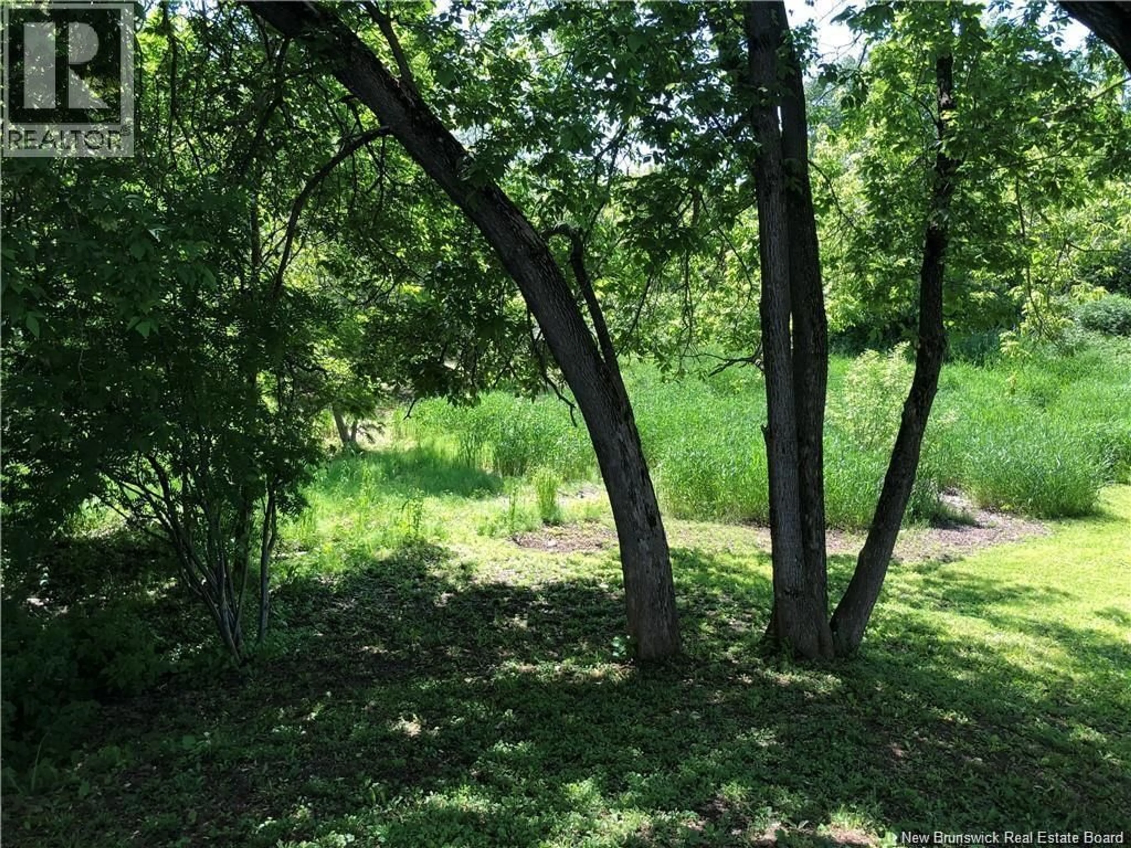 Unknown for 956 KING AVENUE, Bathurst New Brunswick E2A1S1