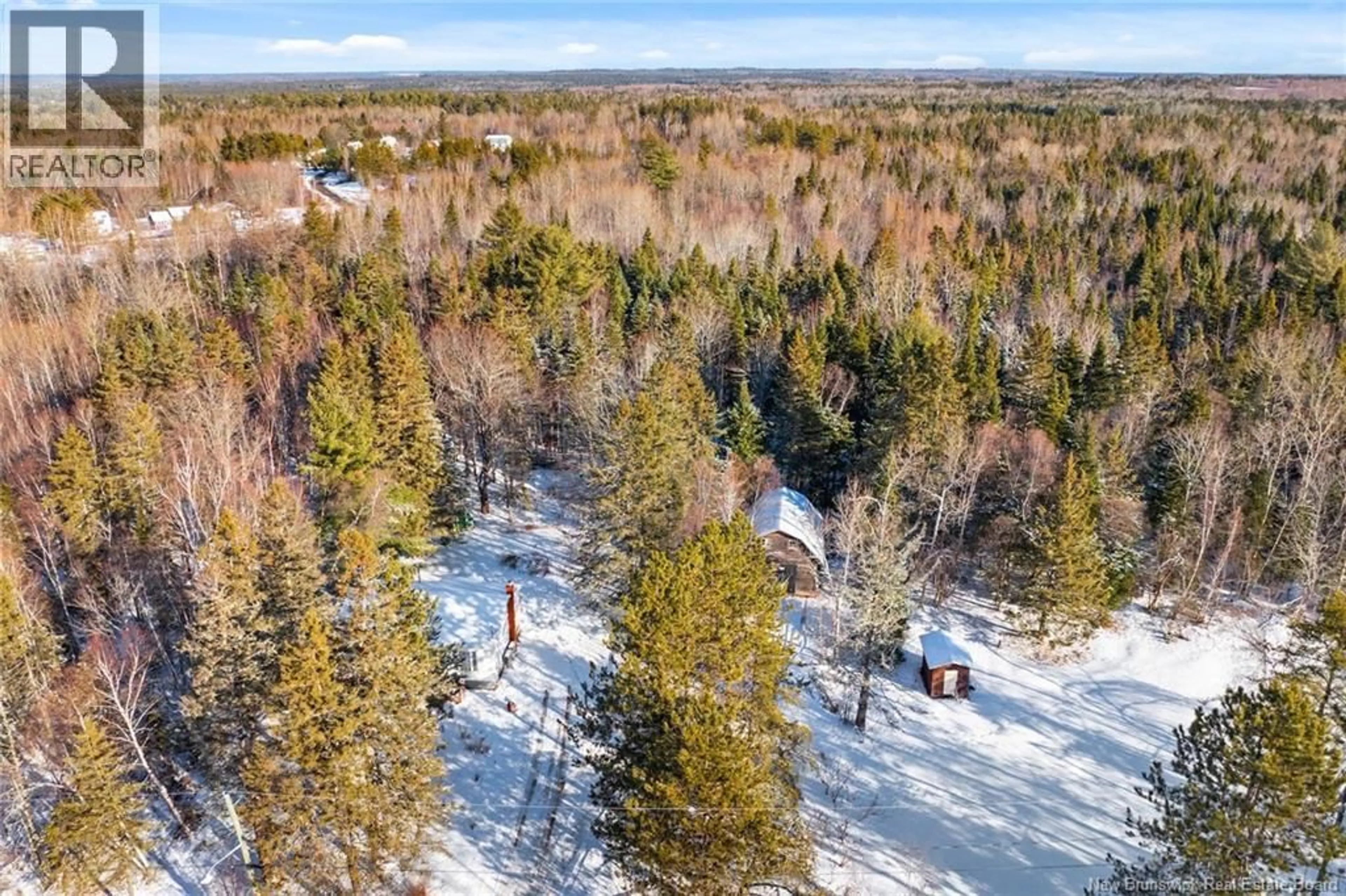 A pic from outside/outdoor area/front of a property/back of a property/a pic from drone, forest/trees view for 55 DUKE STREET, Chipman New Brunswick E4A2J8