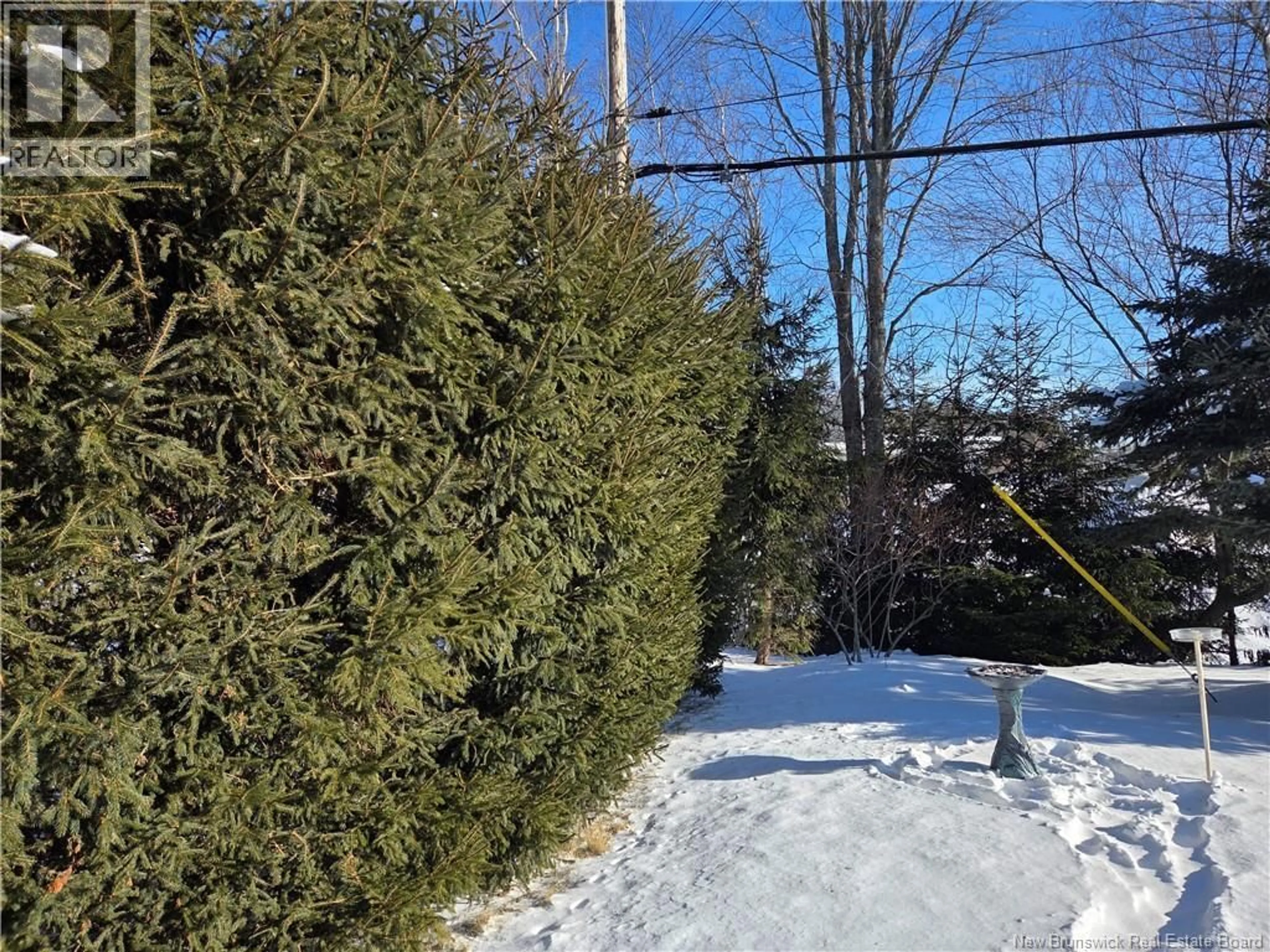 A pic from outside/outdoor area/front of a property/back of a property/a pic from drone, forest/trees view for 308 BUCKINGHAM AVENUE, Riverview New Brunswick E1B2P2