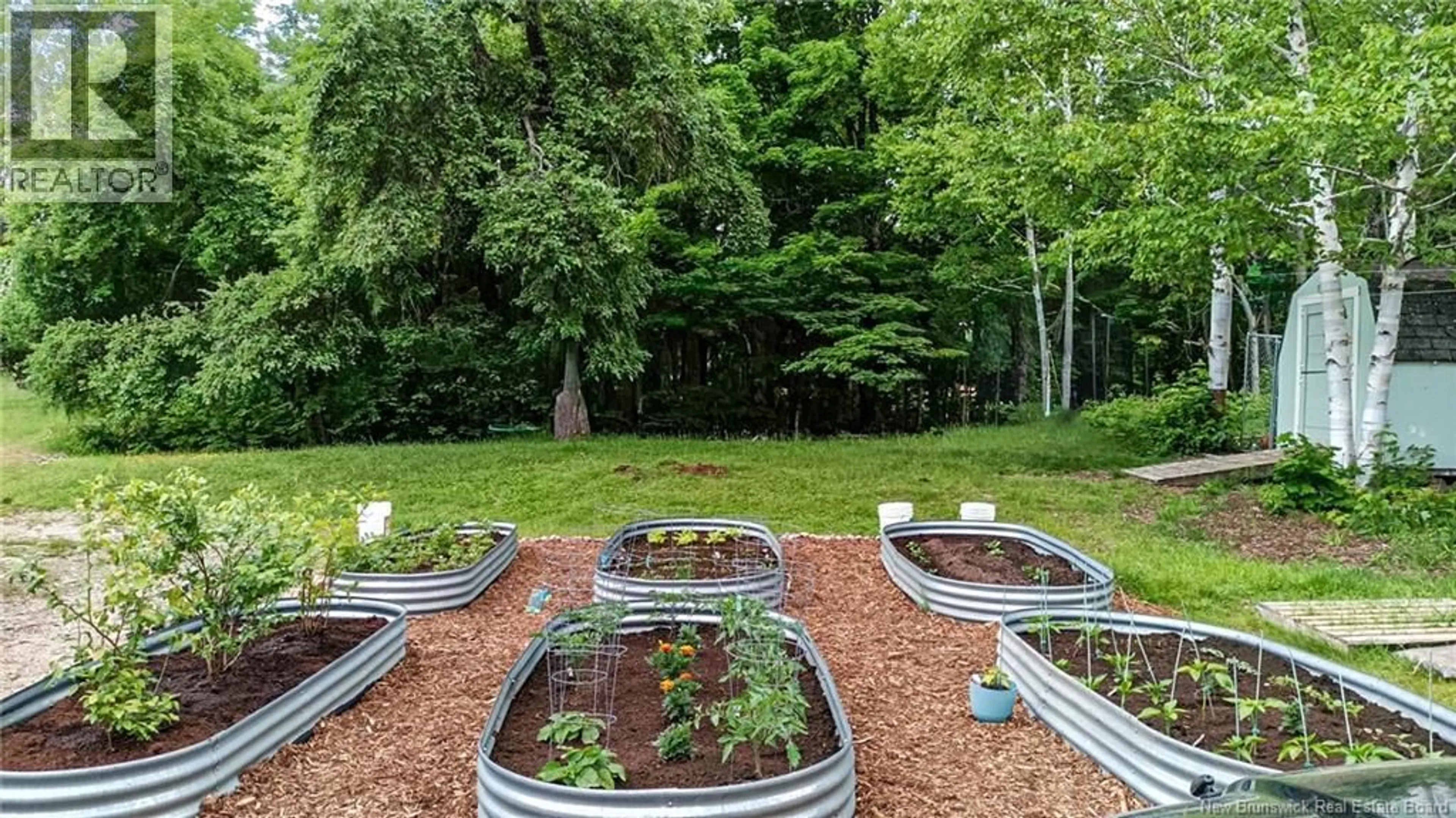 Patio, forest/trees view for 316 HALCOMB ROAD, Halcomb New Brunswick E9E1W7