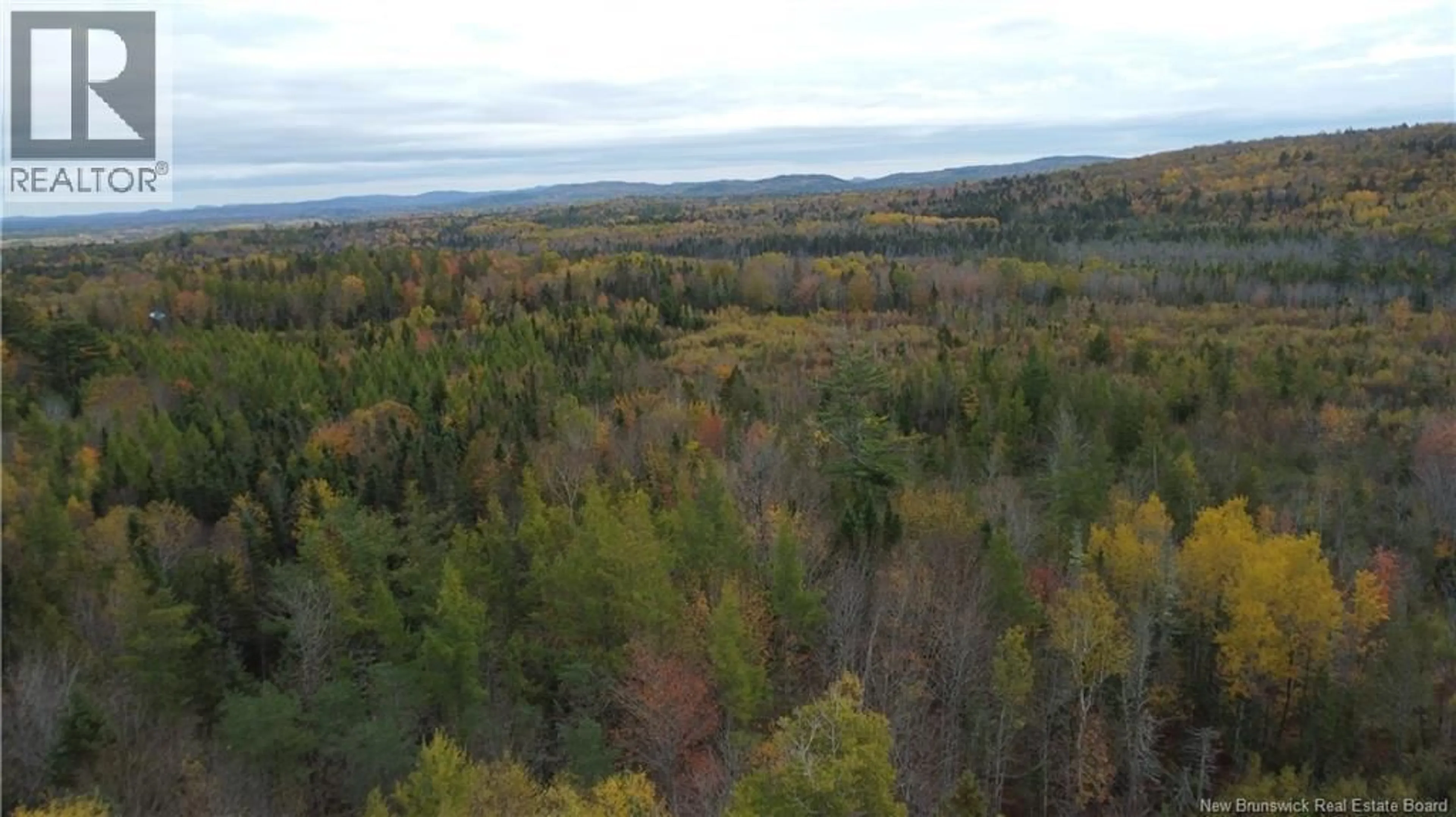 A pic from outside/outdoor area/front of a property/back of a property/a pic from drone, forest/trees view for 339 MCMINN ROAD, Rollingdam New Brunswick E5A1B2