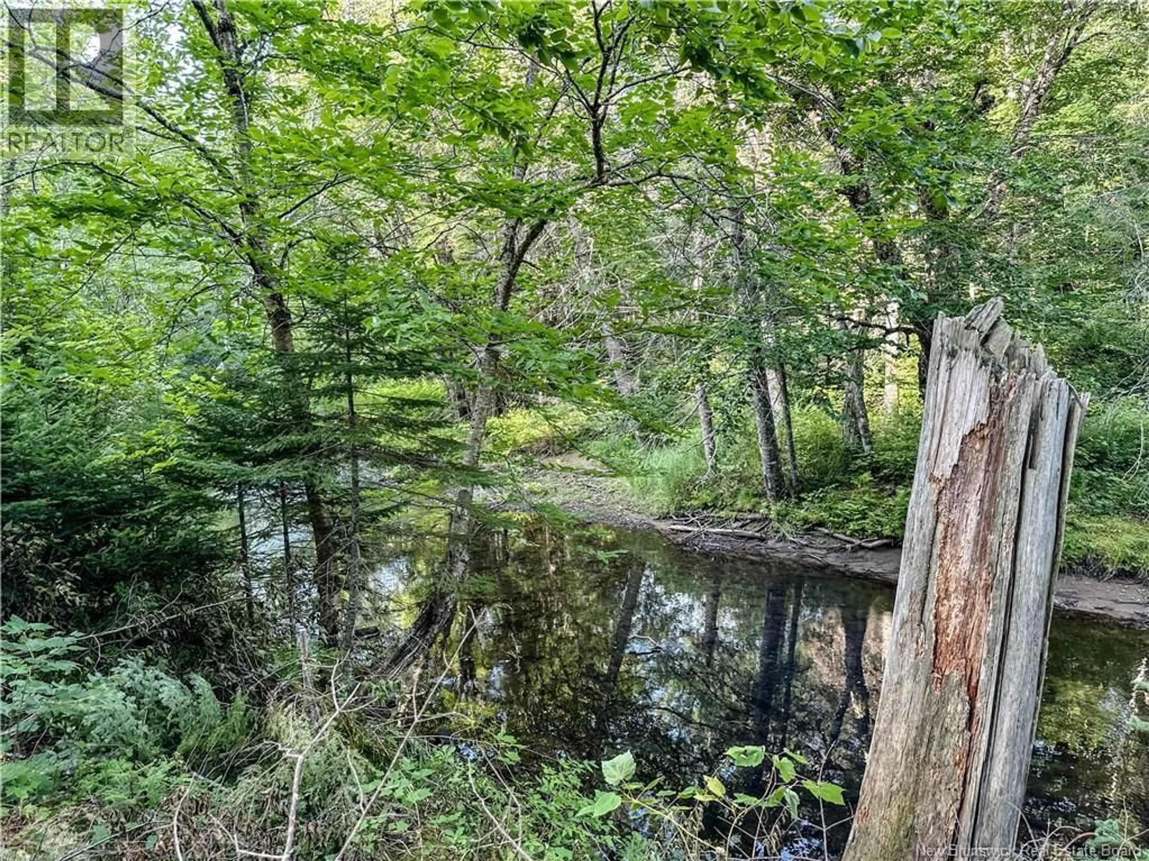 A pic from outside/outdoor area/front of a property/back of a property/a pic from drone, forest/trees view for 1390 TWEEDIE BROOK ROAD, Kouchibouguac New Brunswick E4X1N3