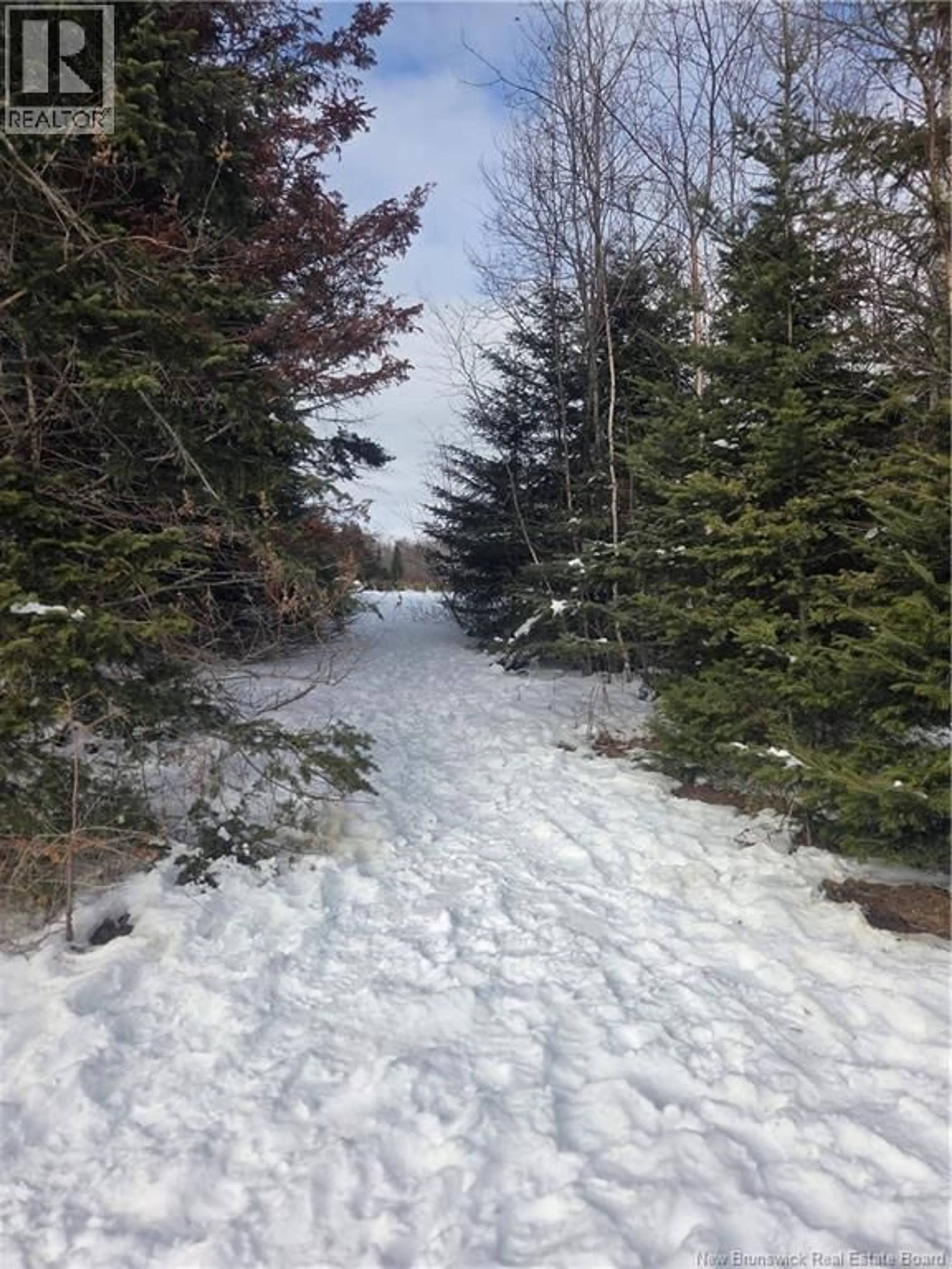 Blurry image for 378 BRIGHTON CROSS ROAD, East Brighton New Brunswick E7P2J5