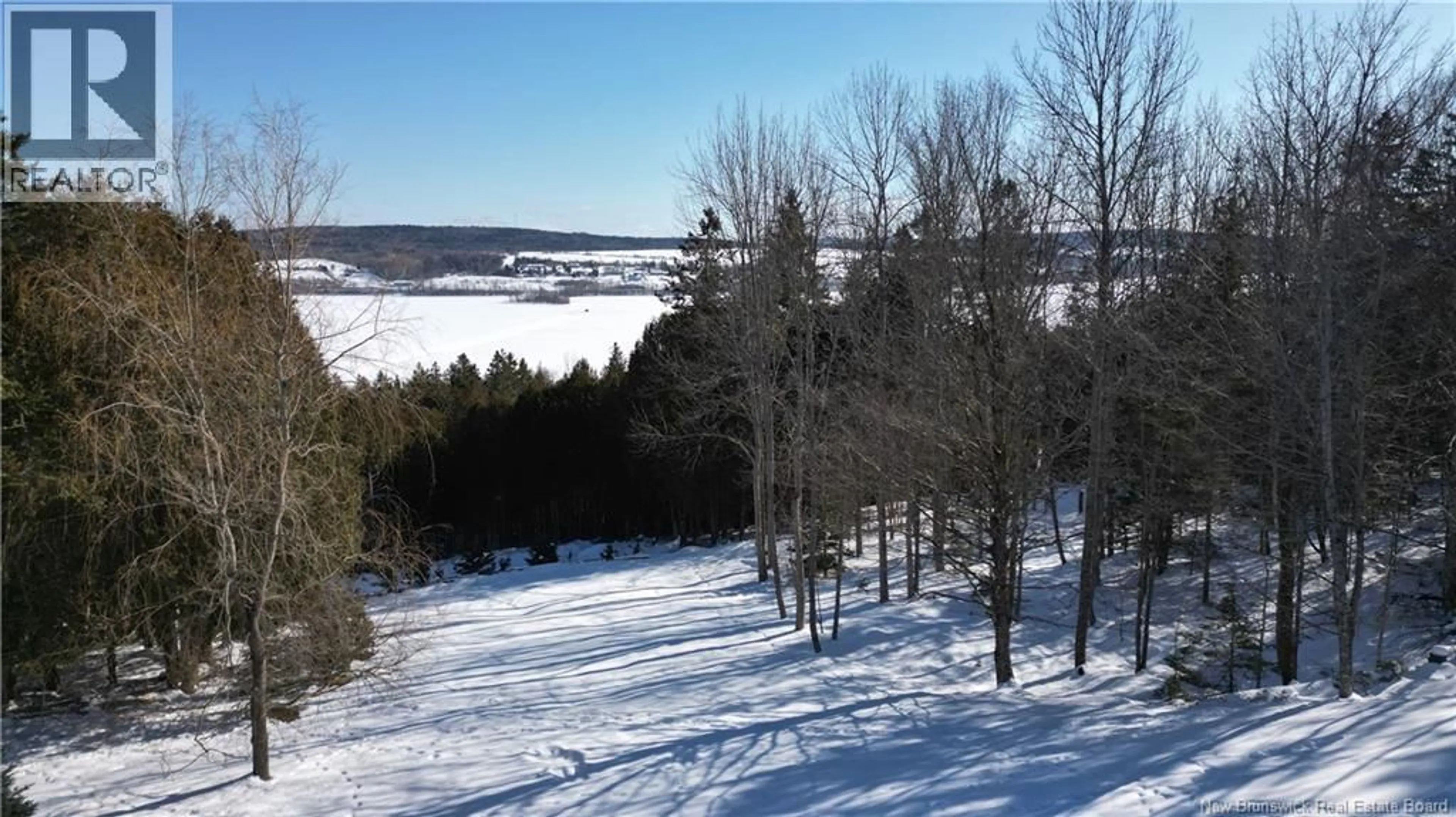 A pic from outside/outdoor area/front of a property/back of a property/a pic from drone, forest/trees view for 17 BELL AVENUE, Darlings Island New Brunswick E5N6R5