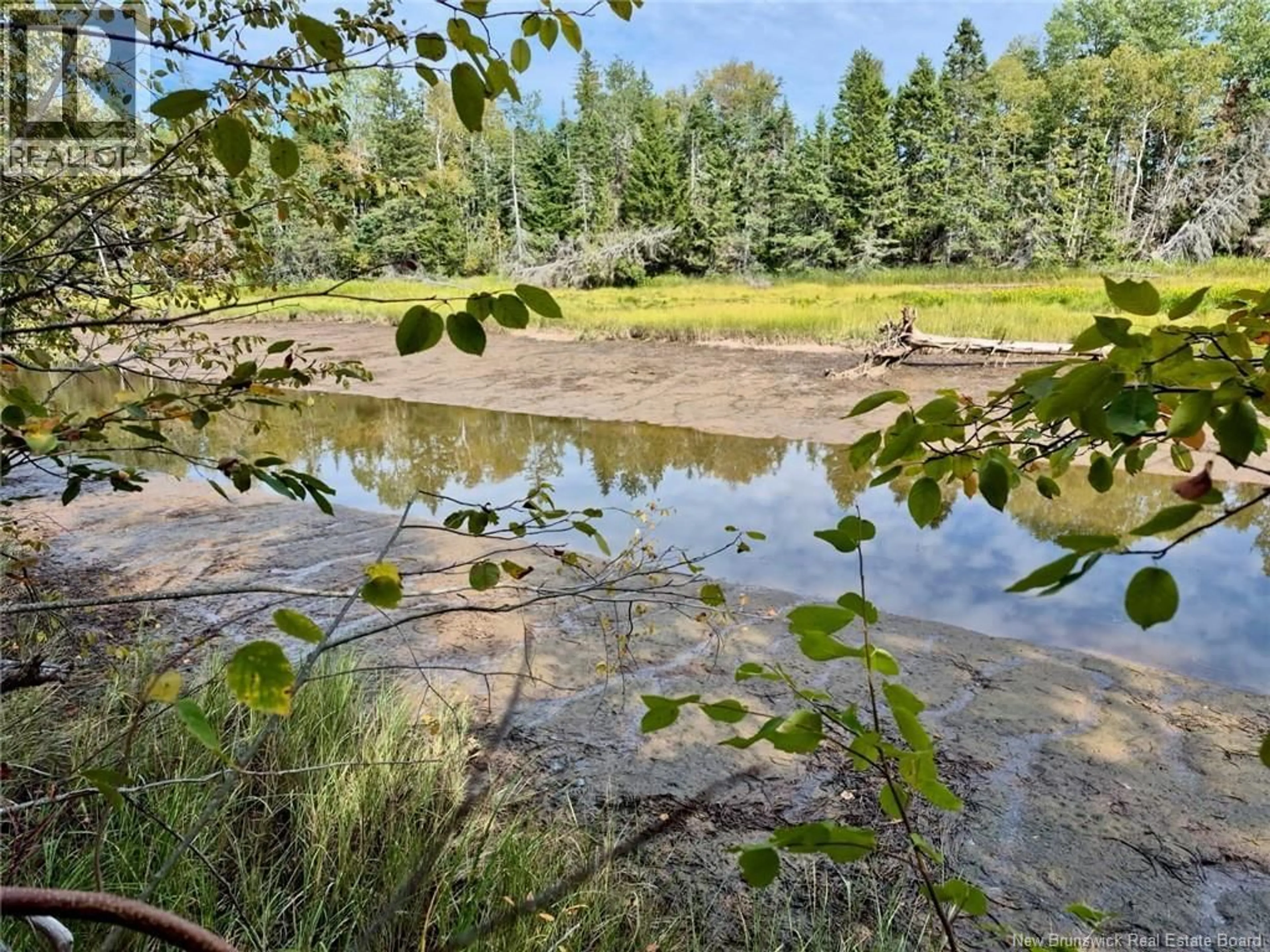 A pic from outside/outdoor area/front of a property/back of a property/a pic from drone, forest/trees view for Lot JOHNSTON POINT ROAD, Johnston Point New Brunswick E4M1P3