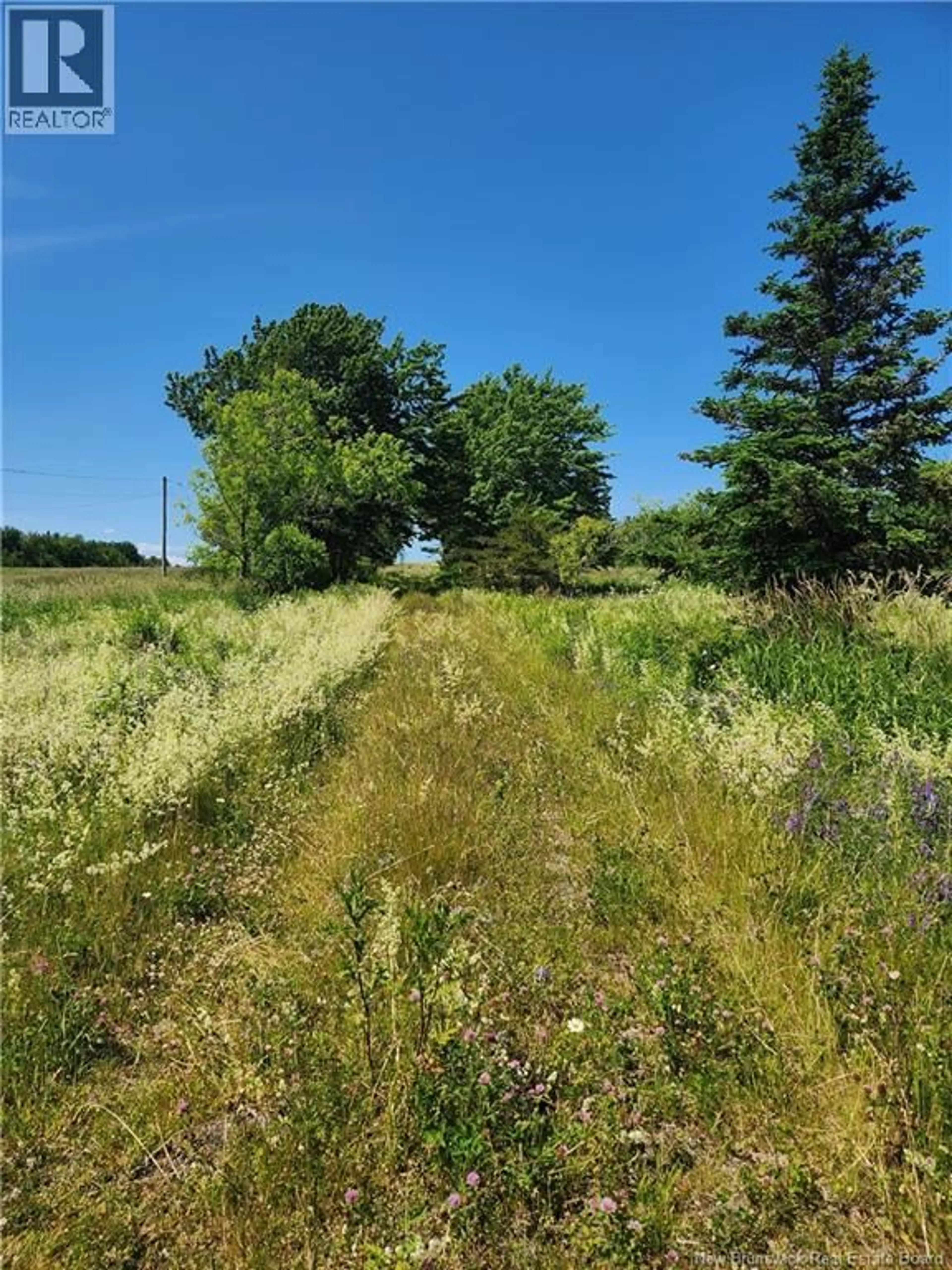 Blurry image for 371 ROUTE 535, Notre-Dame New Brunswick E4V2K3