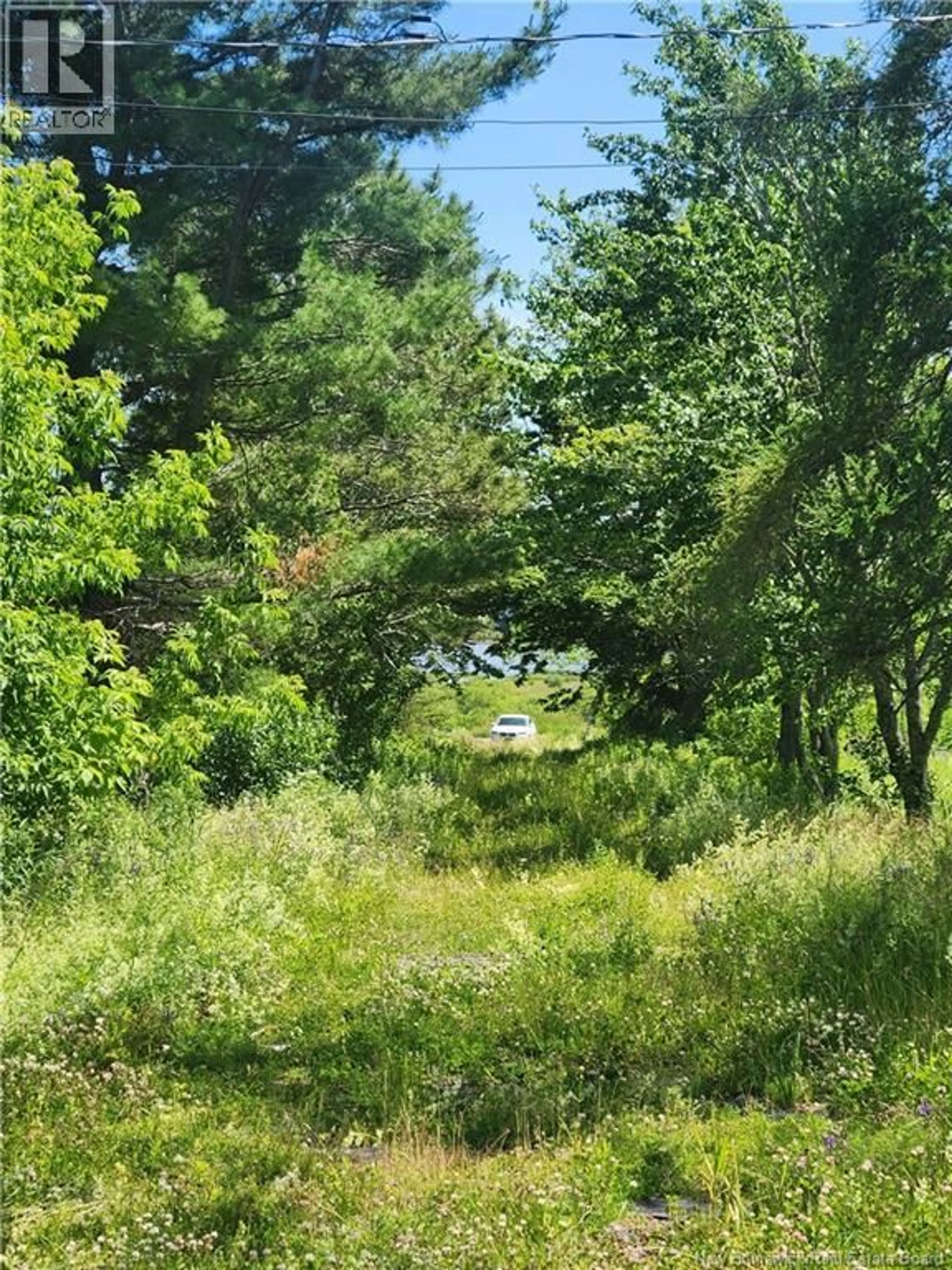 A pic from outside/outdoor area/front of a property/back of a property/a pic from drone, forest/trees view for 371 ROUTE 535, Notre-Dame New Brunswick E4V2K3