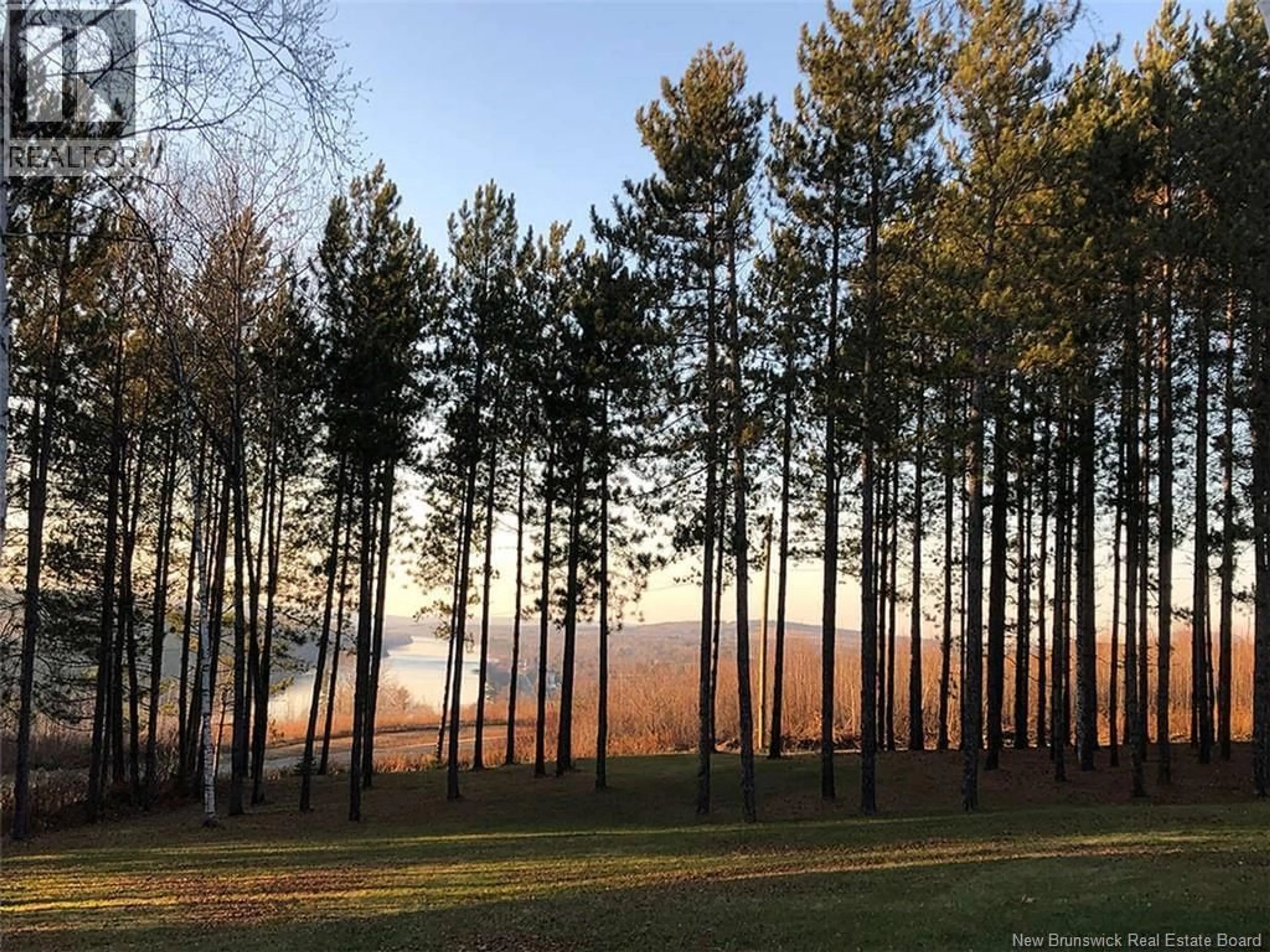 A pic from outside/outdoor area/front of a property/back of a property/a pic from drone, forest/trees view for 20 LEFT BRANCH SALMON HILL ROAD, Florenceville-Bristol New Brunswick E7L2B6