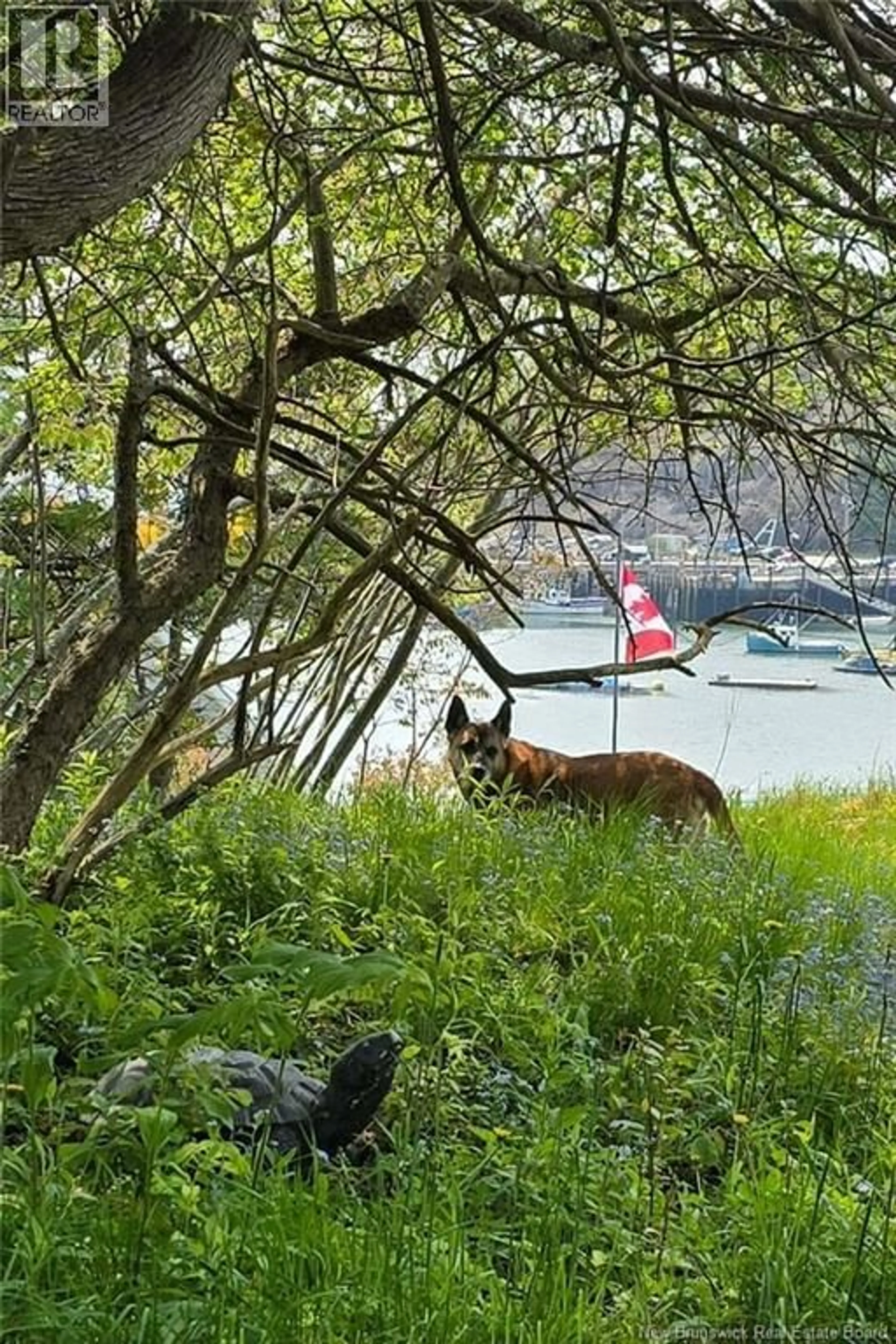 Blurry image for 549 MAIN STREET, Beaver Harbour New Brunswick E5H1M6