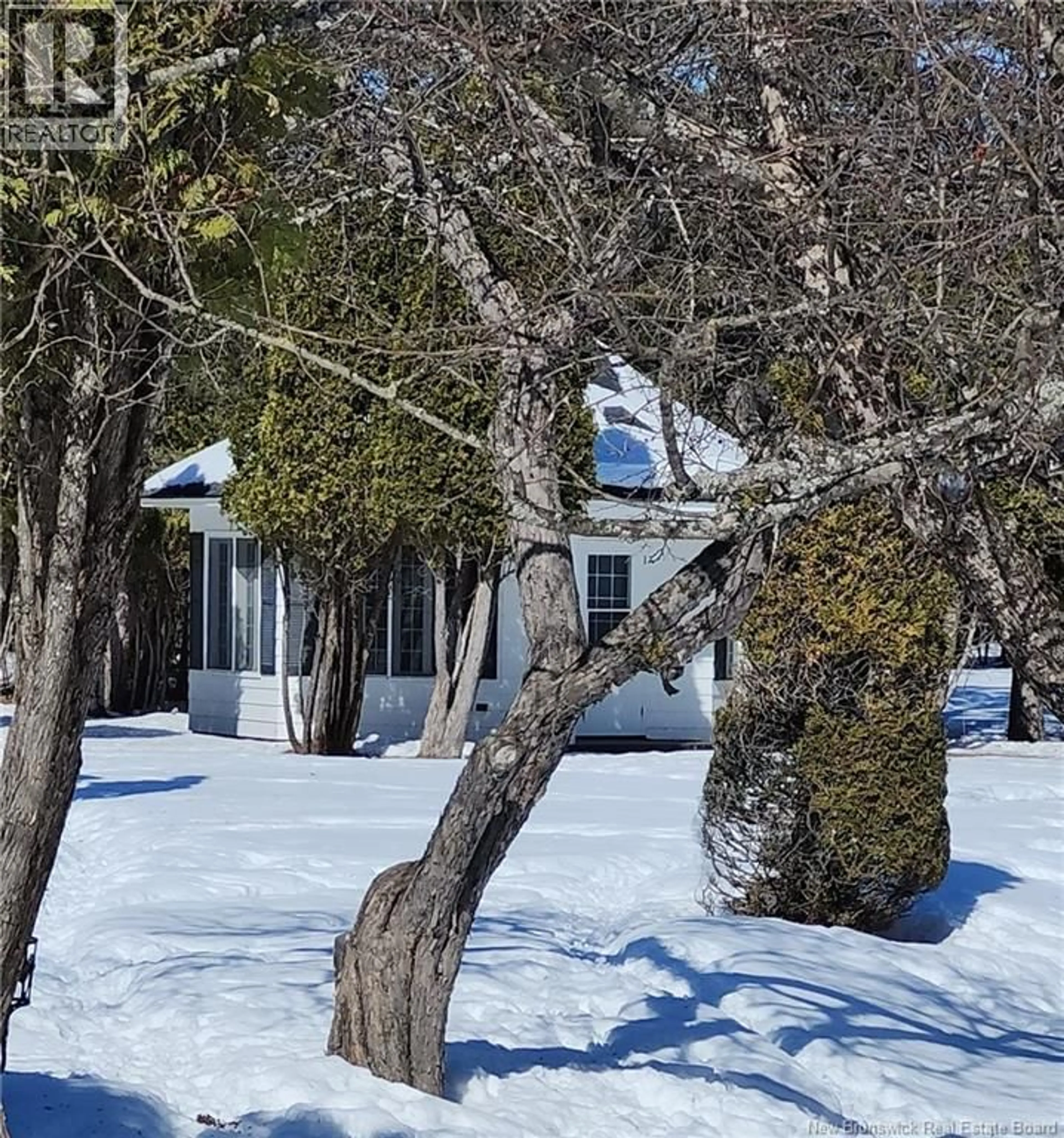 A pic from outside/outdoor area/front of a property/back of a property/a pic from drone, unknown for 55 HILLCREST STREET, Plaster Rock New Brunswick E7G1V2
