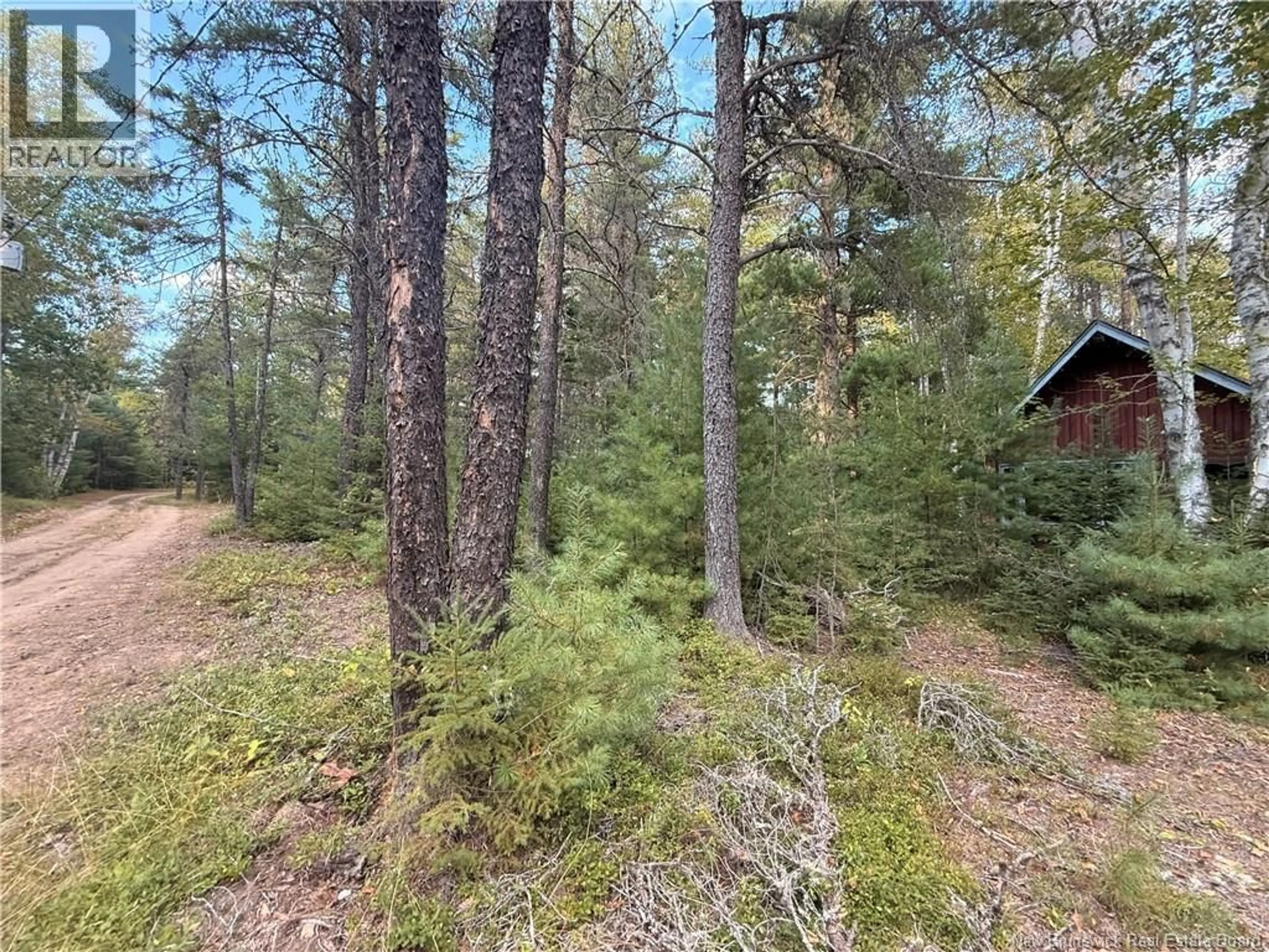 A pic from outside/outdoor area/front of a property/back of a property/a pic from drone, forest/trees view for CAMP L'EGLISE ROAD, Saint-Norbert New Brunswick E4S2N2