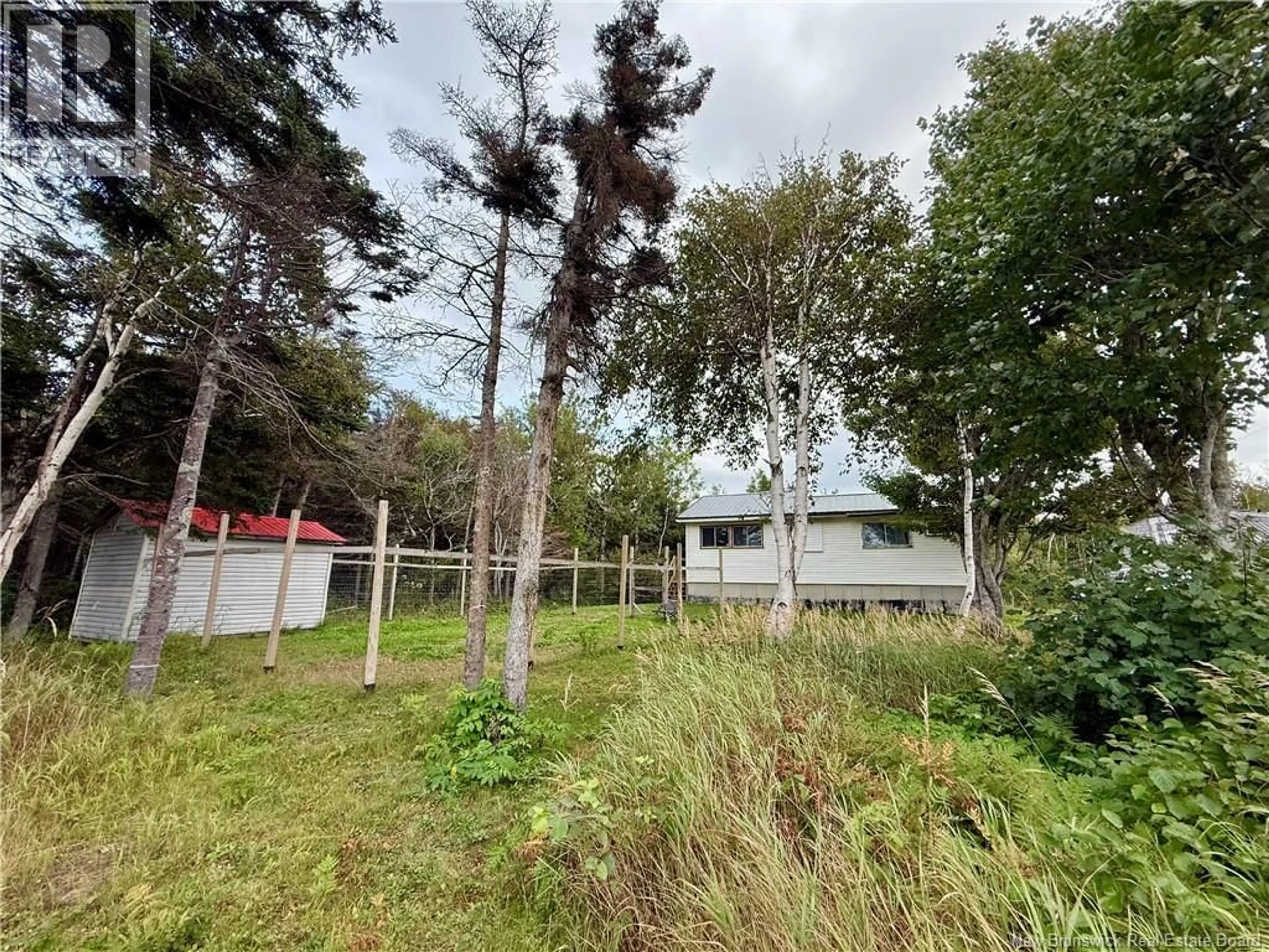 A pic from outside/outdoor area/front of a property/back of a property/a pic from drone, forest/trees view for 1394 DEGRACE STREET, Maisonnette New Brunswick E8N2J4