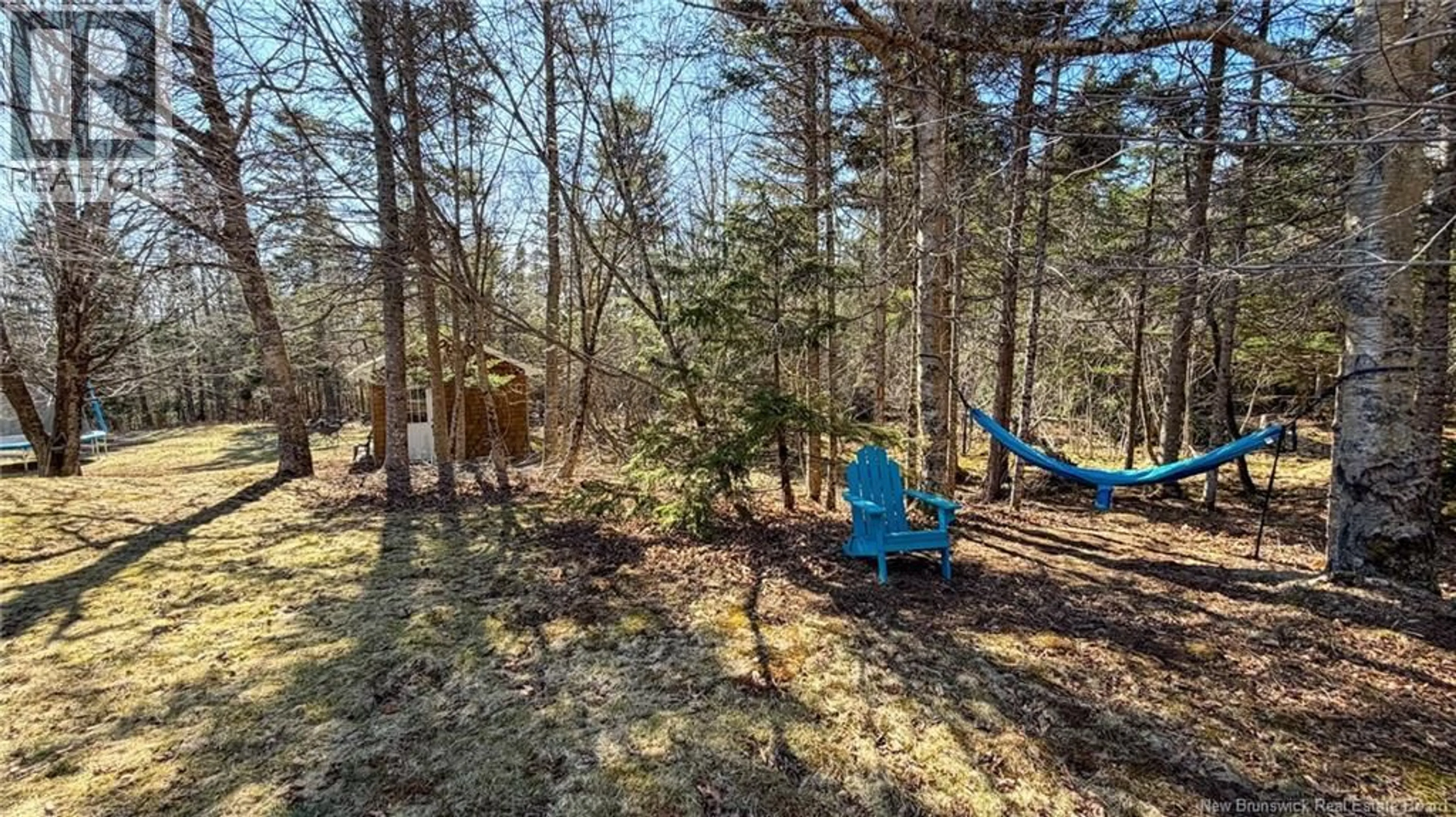 A pic from outside/outdoor area/front of a property/back of a property/a pic from drone, forest/trees view for 40 BEAUVISTA AVENUE, Darlings Island New Brunswick E5N6P7