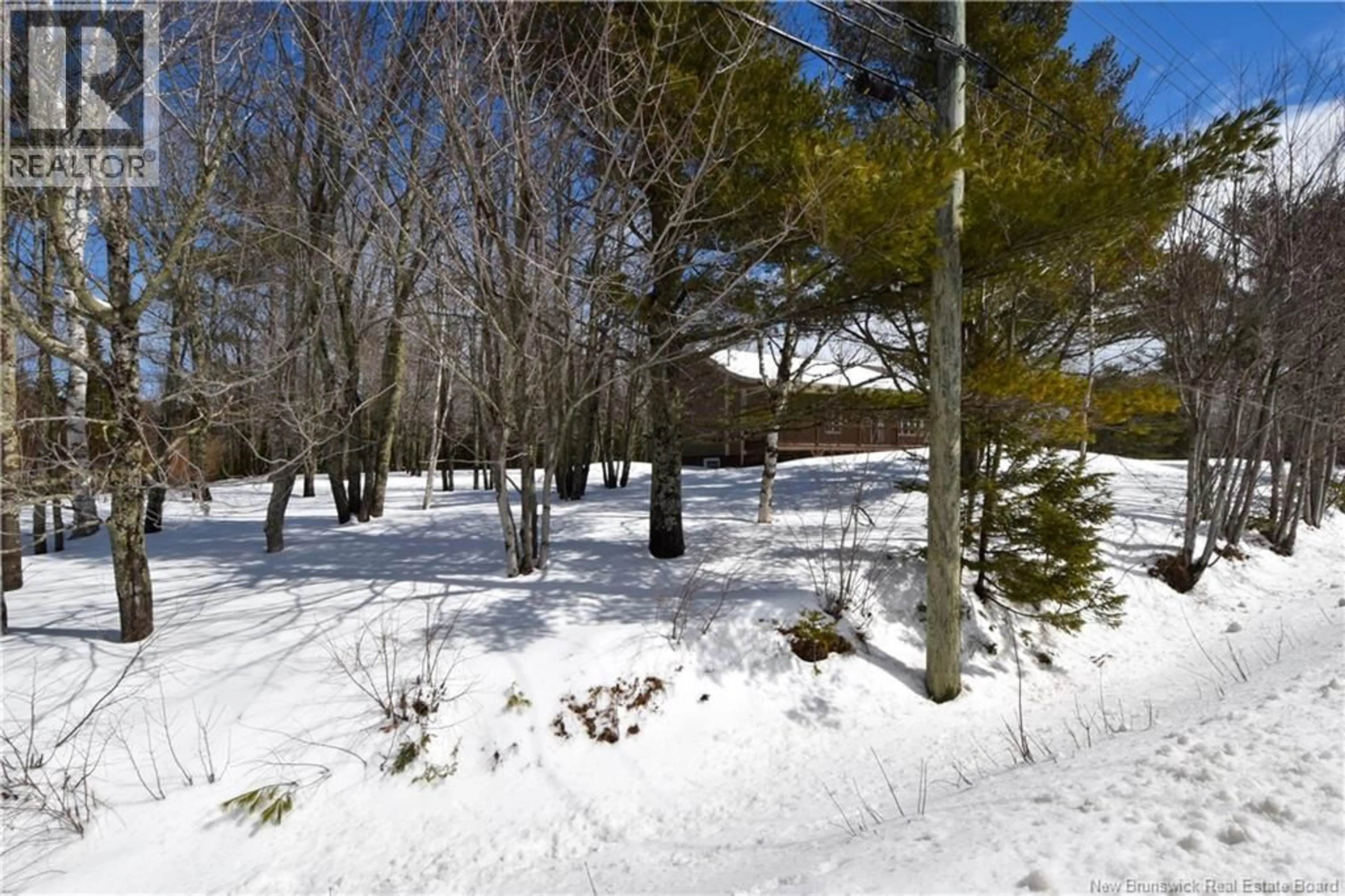 Patio, forest/trees view for 322 ROUTE 350, Inkerman New Brunswick E8P1L1