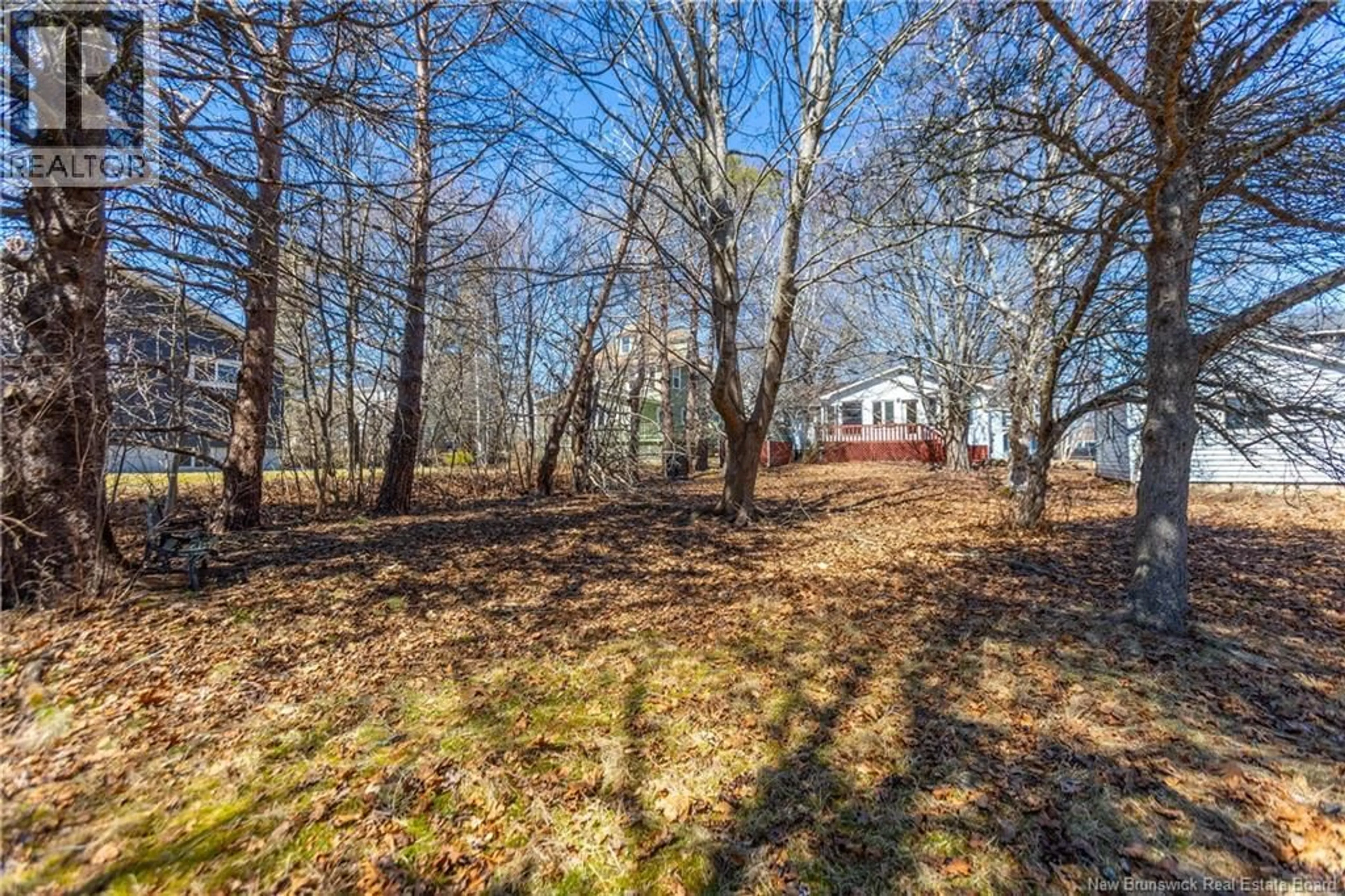 A pic from outside/outdoor area/front of a property/back of a property/a pic from drone, forest/trees view for 32 UNION STREET, Sackville New Brunswick E4L4M4