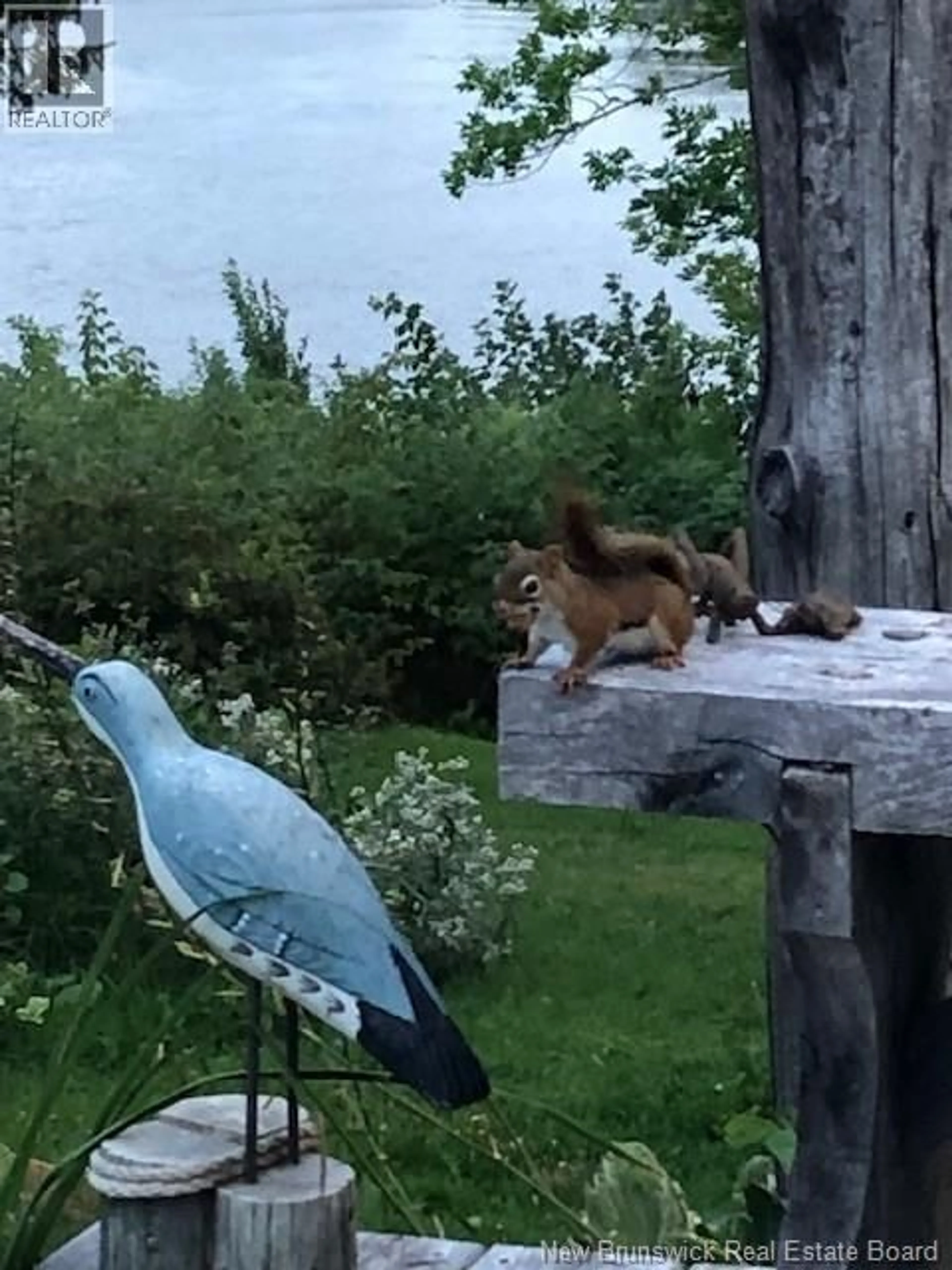 Blurry image for 840 BASS RIVER POINT ROAD, Bass River New Brunswick E4T1K4