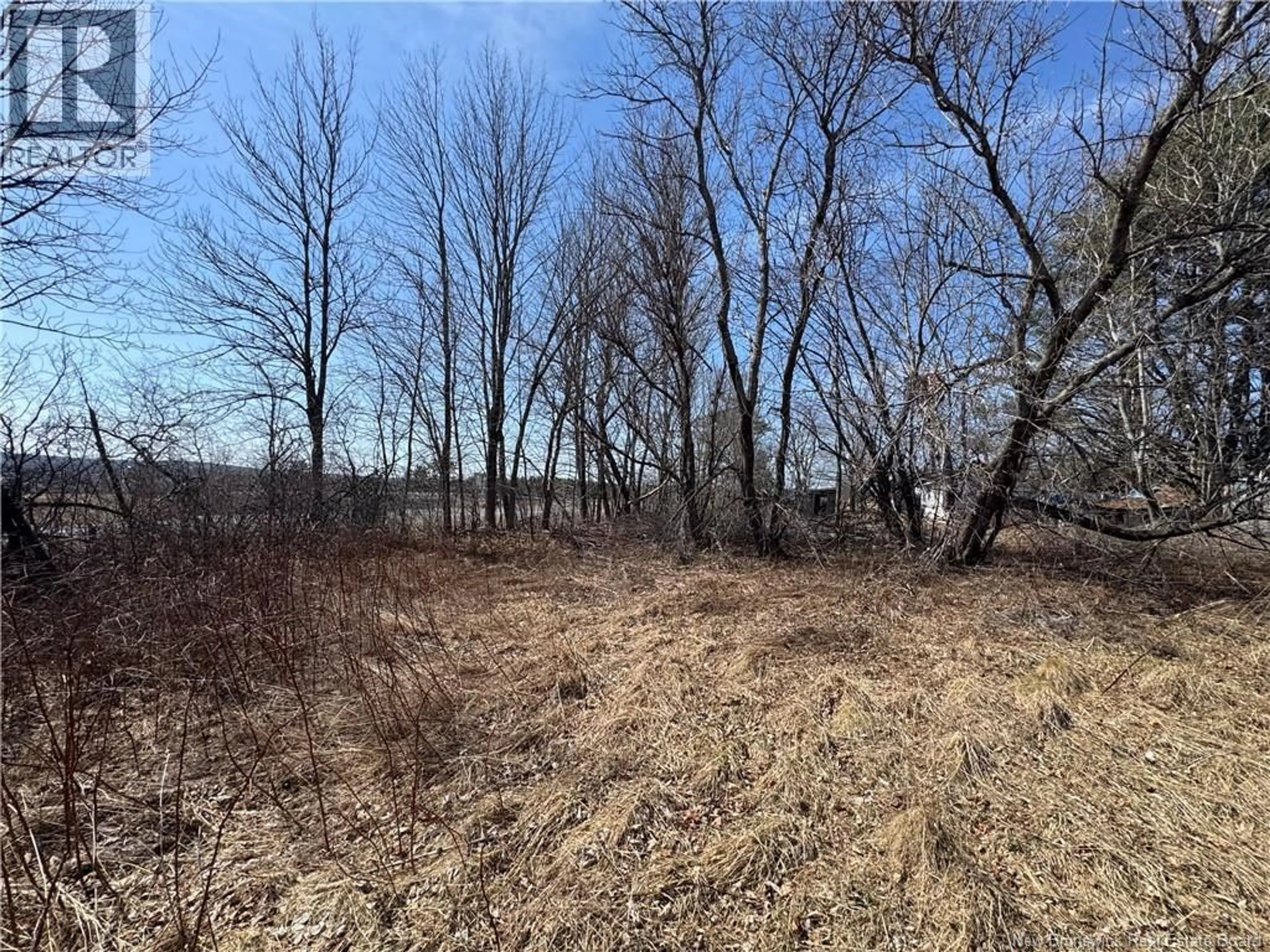 A pic from outside/outdoor area/front of a property/back of a property/a pic from drone, forest/trees view for 9321 ROUTE 3, Old Ridge New Brunswick E3L4X4