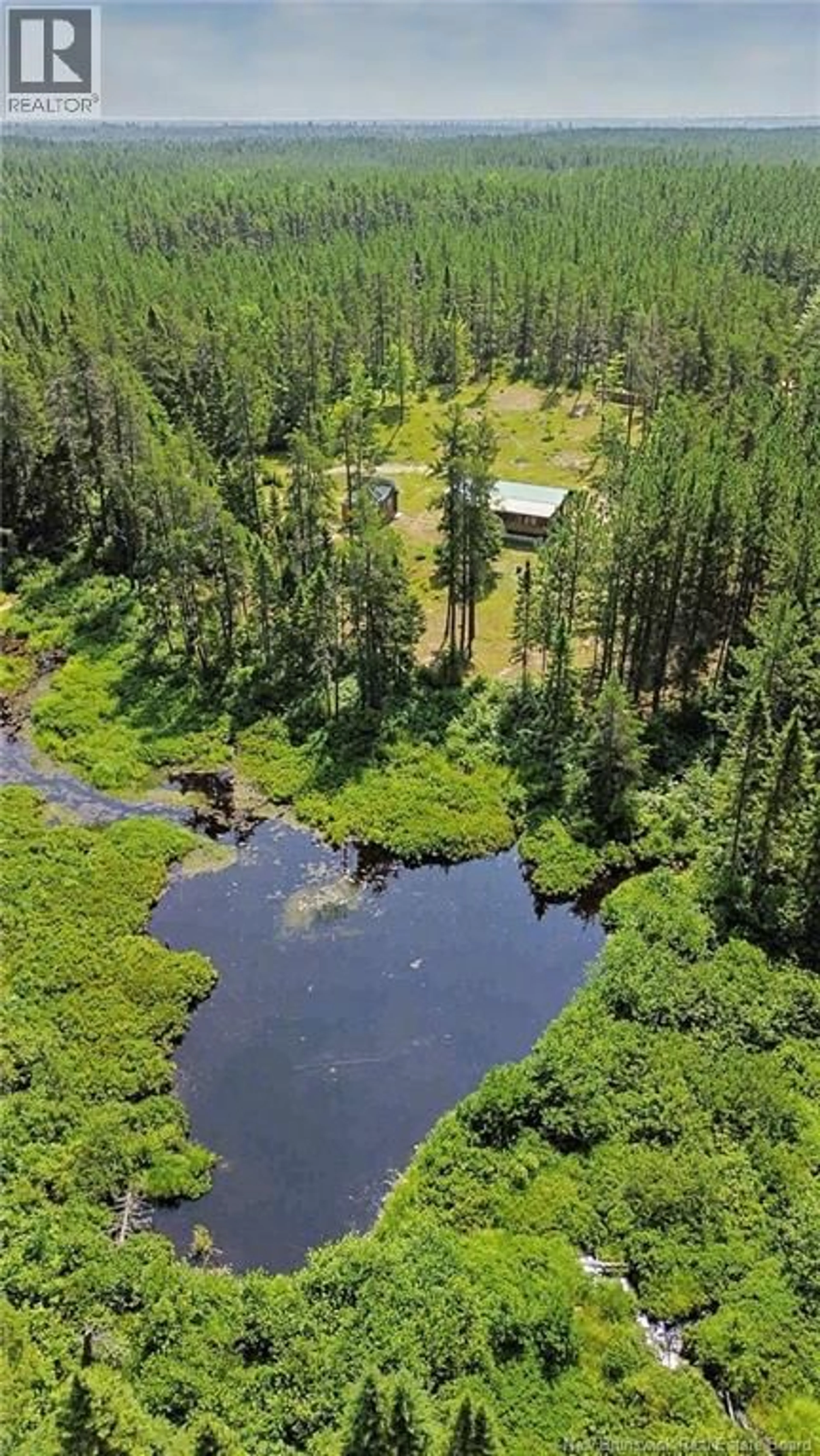 A pic from outside/outdoor area/front of a property/back of a property/a pic from drone, forest/trees view for 194 MEADOW BROOK ROAD, Cains River New Brunswick E9B0E6