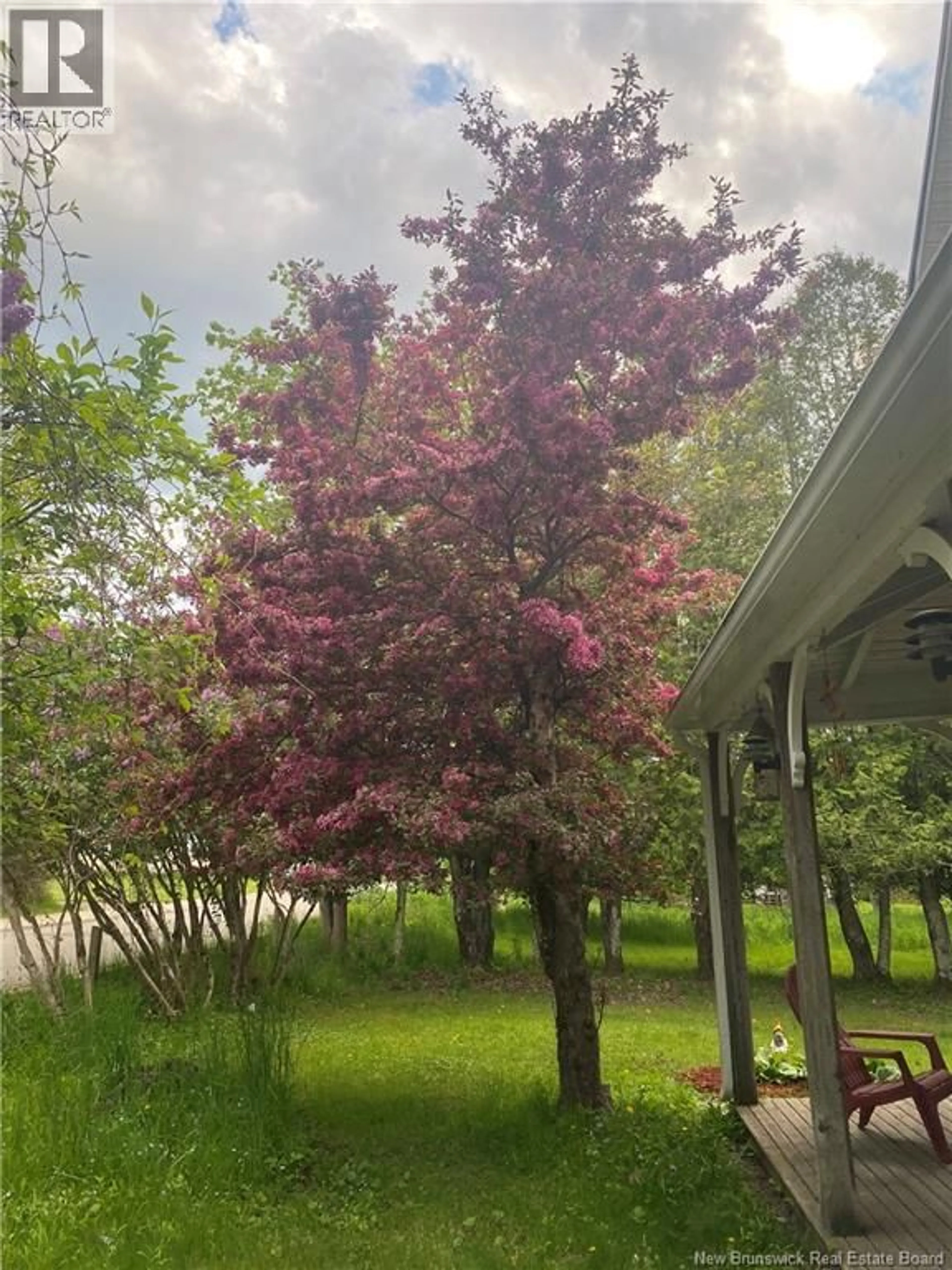 Patio, forest/trees view for 31 DUTCH POINT ROAD, Hampton New Brunswick E5N5Y9