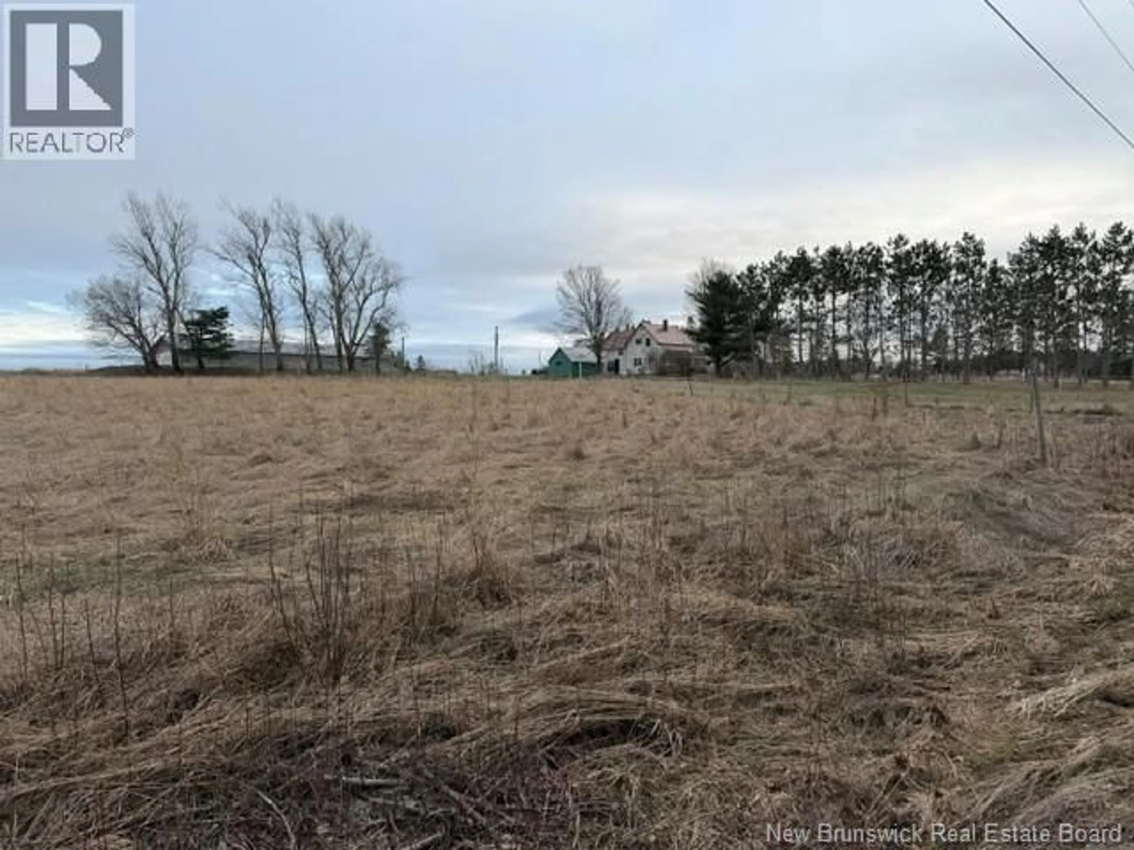 A pic from outside/outdoor area/front of a property/back of a property/a pic from drone, forest/trees view for 118 STEEVES SETTLEMENT ROAD, Steeves Settlement New Brunswick E4Z2Y1