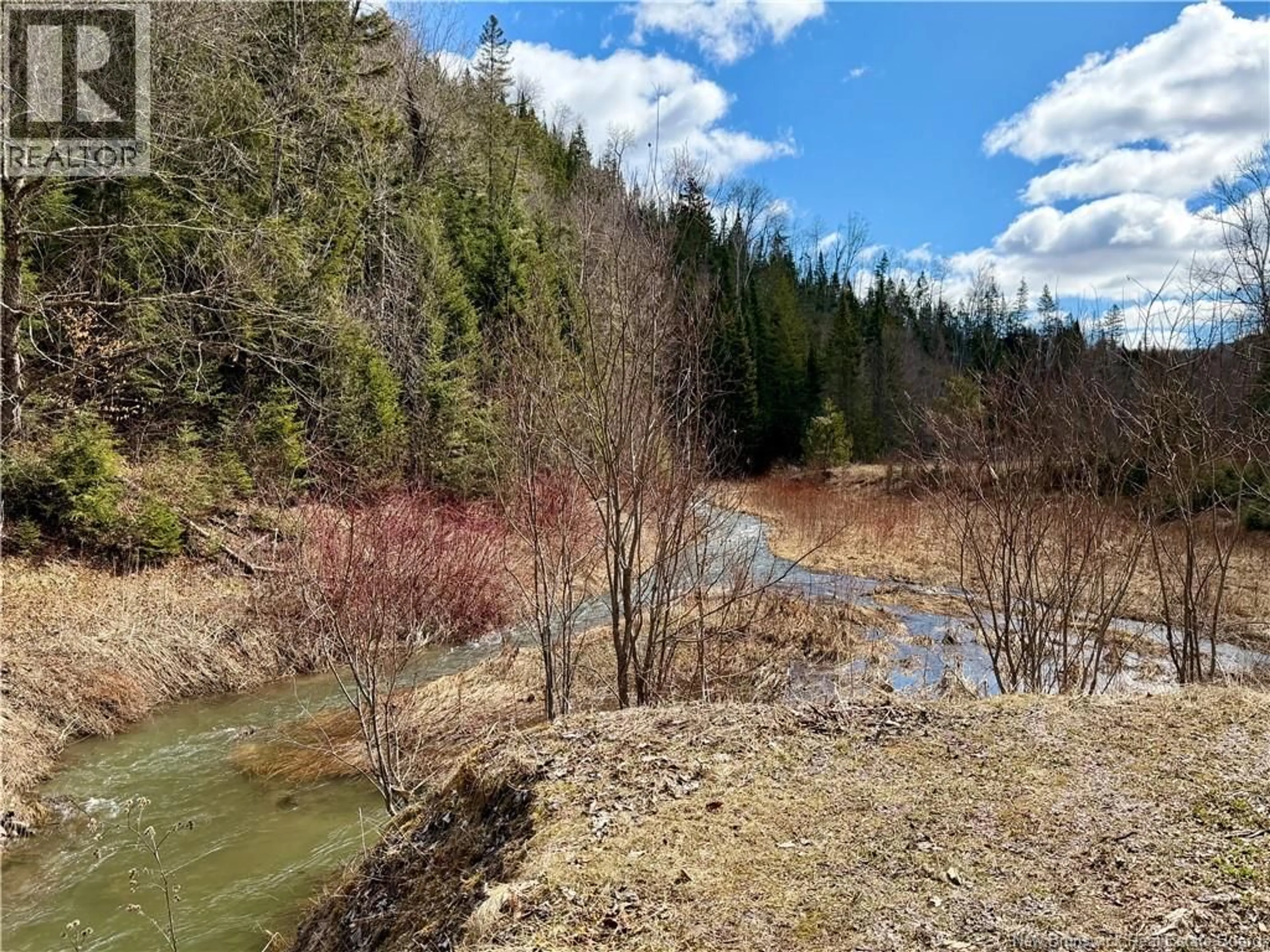 A pic from outside/outdoor area/front of a property/back of a property/a pic from drone, forest/trees view for 50 HATHAWAY LANE, Perth-Andover New Brunswick E7H2G1